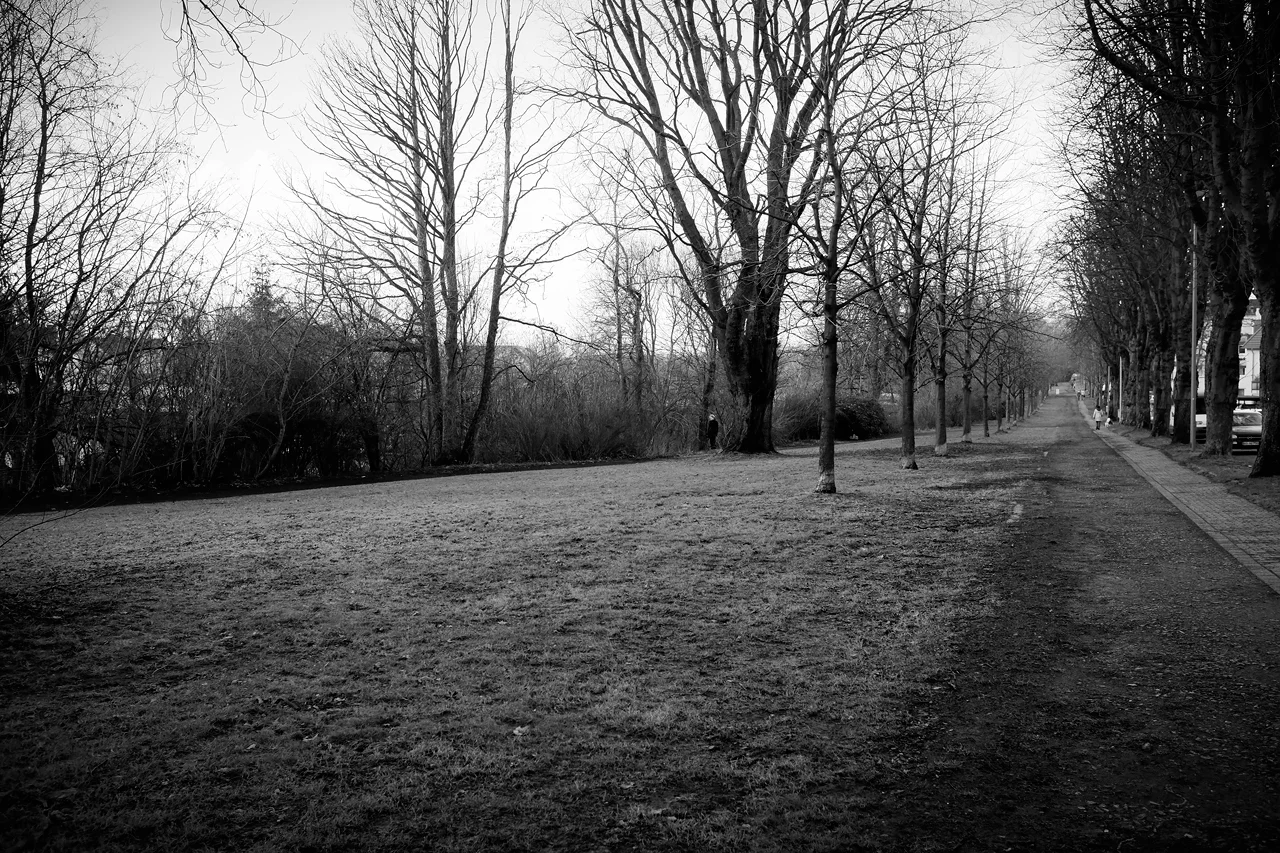 Bochum_diverse_20150131_0027-Bearbeitet_1280px.jpg