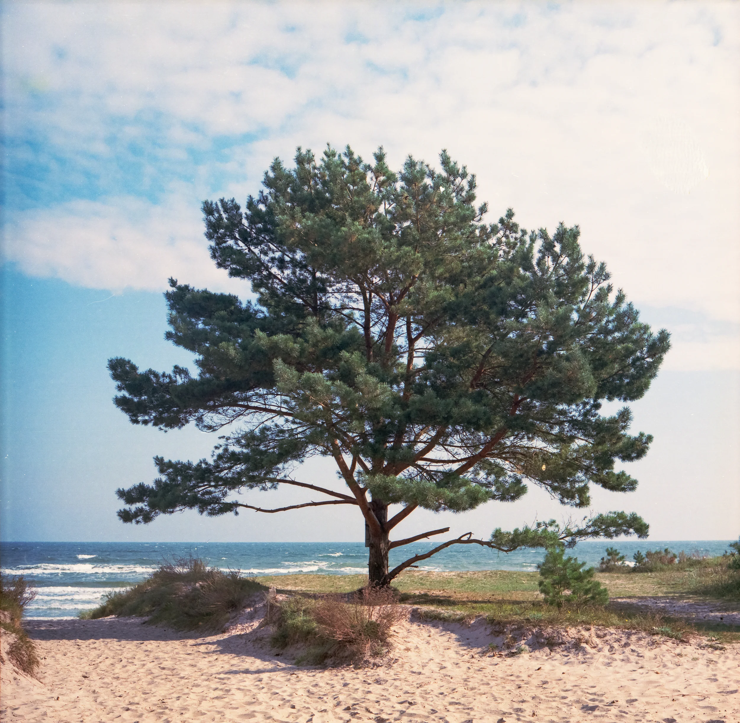 Rügen_25_2500px.jpg