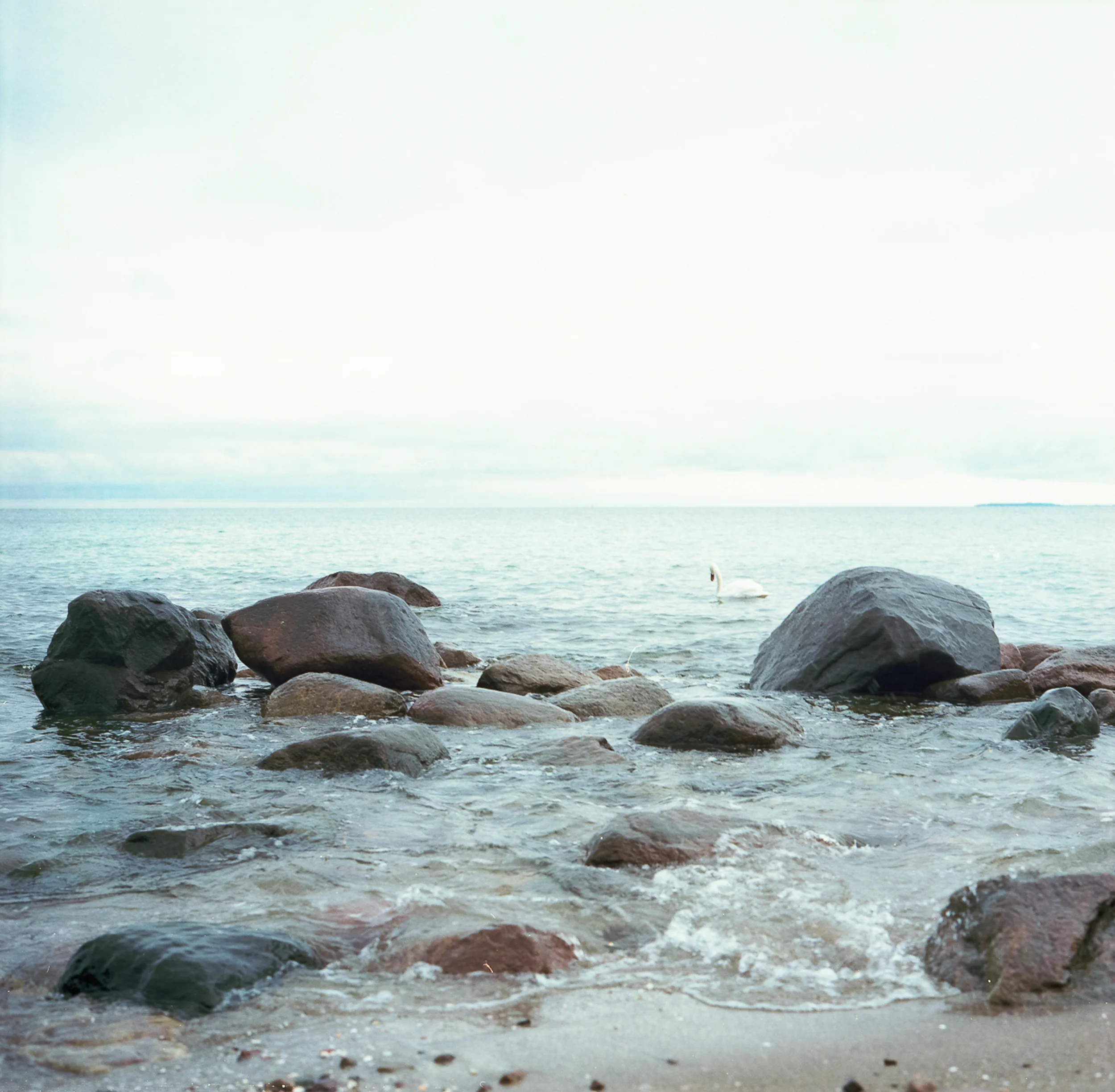 Rügen_13_1280px_2500px.jpg