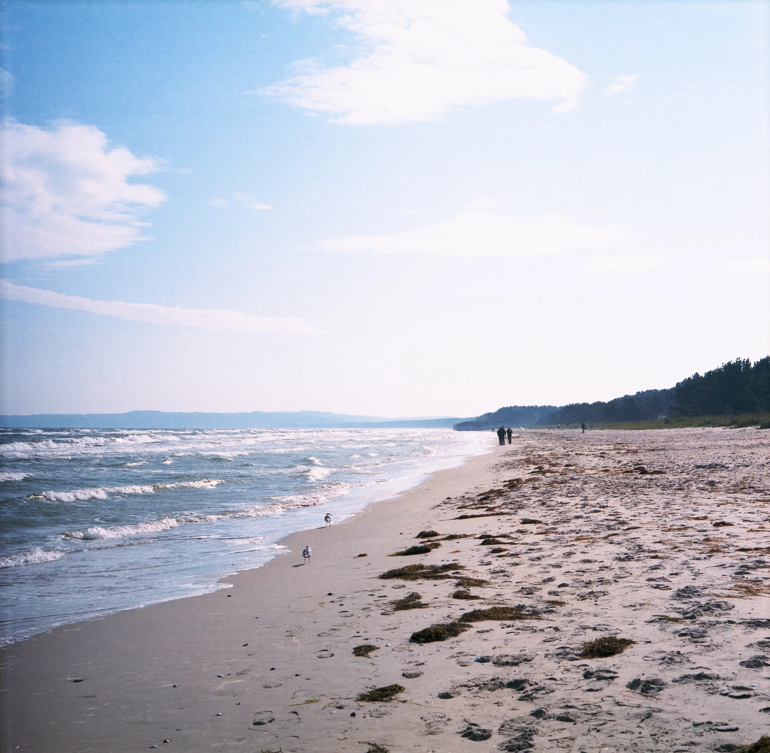 Rügen_27_2500px.jpg