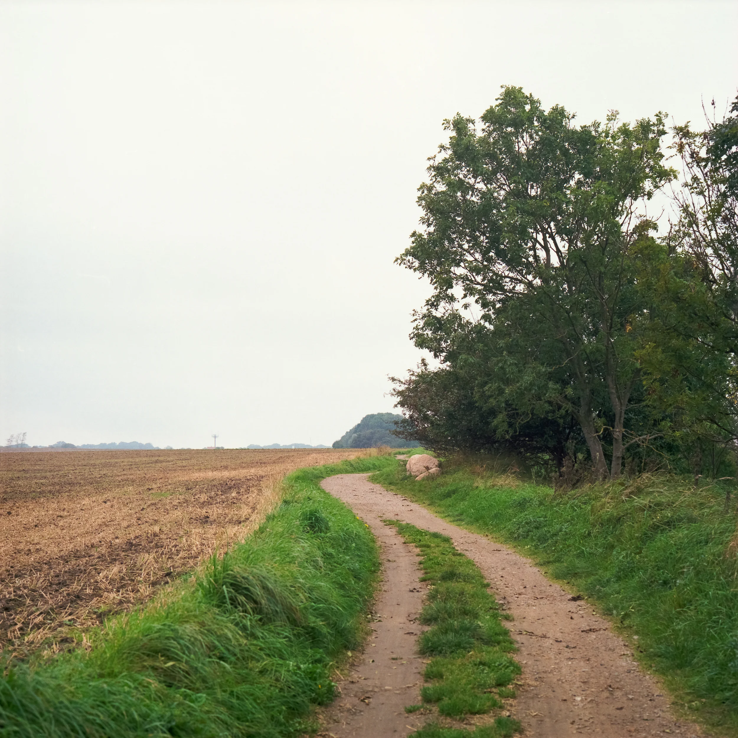 Rügen_01_2500px.jpg