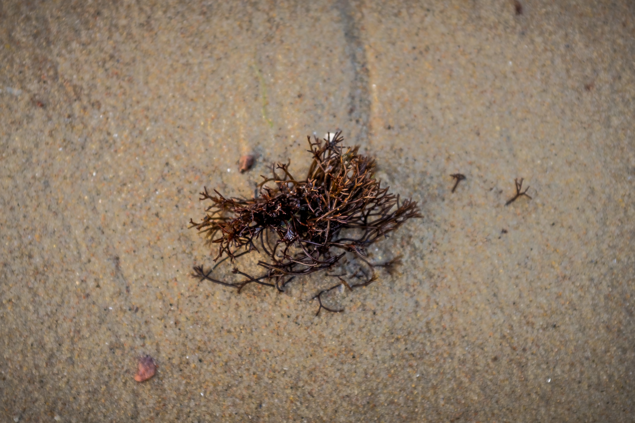 Rügen_20170916_0039_2500px.jpg