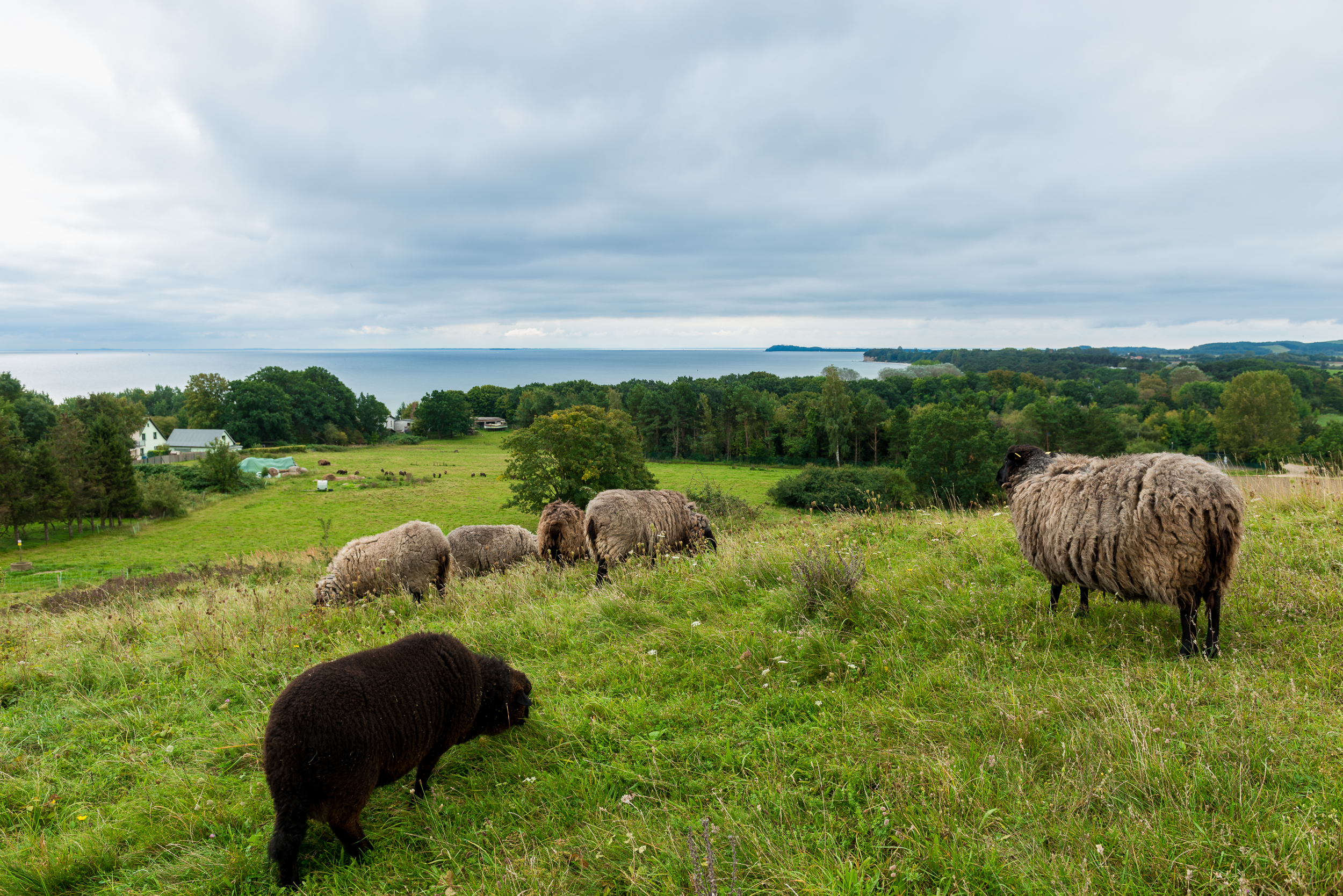 Rügen_20170923_0288_2500px.jpg