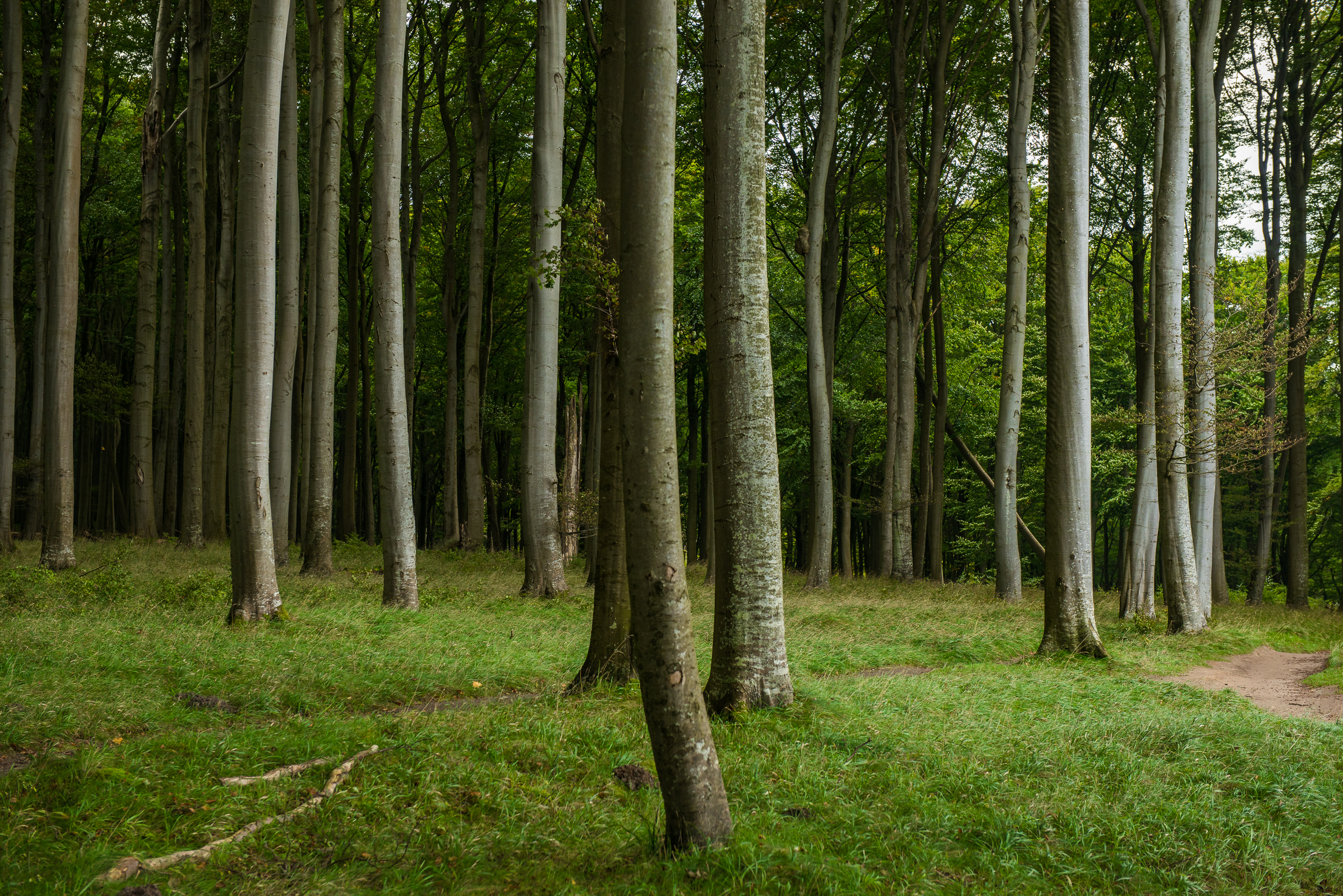 Rügen_20170927_0677_2500px.jpg