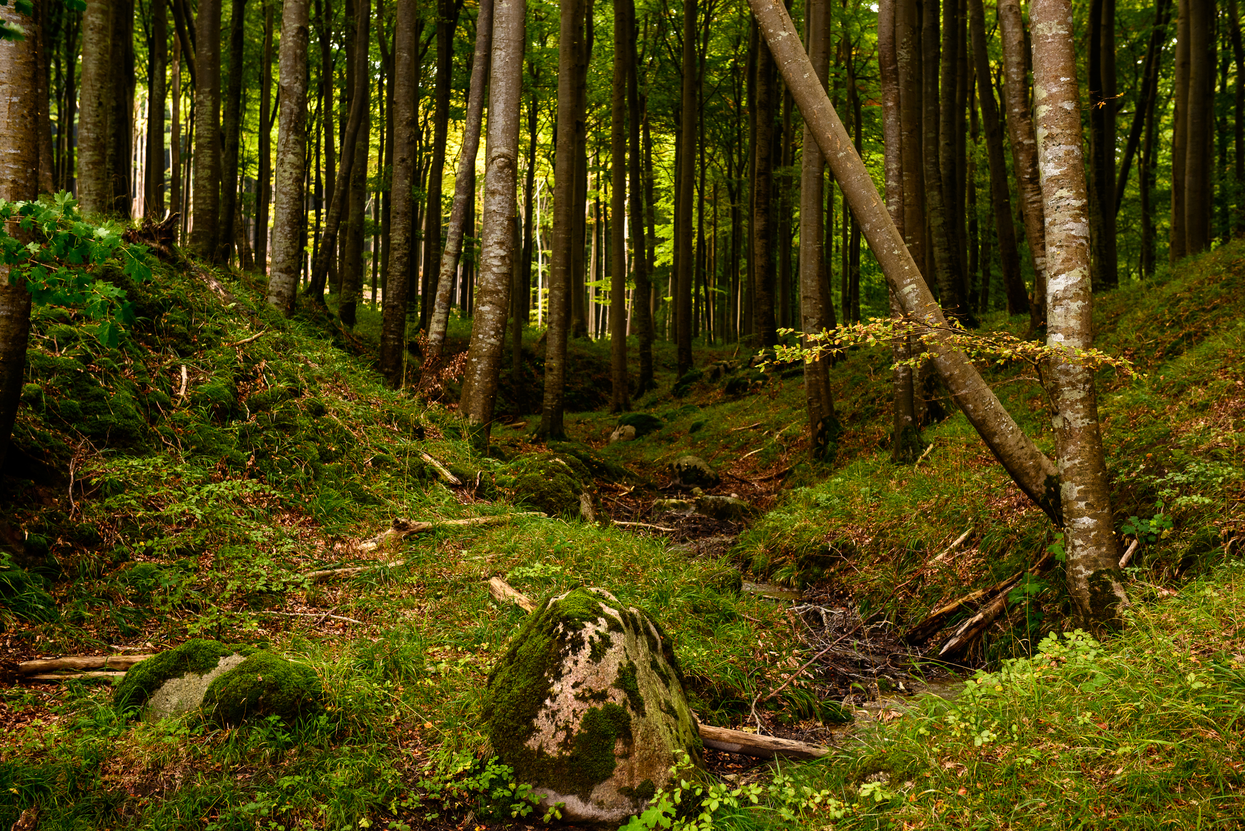 Rügen_20170927_0630_2500px.jpg