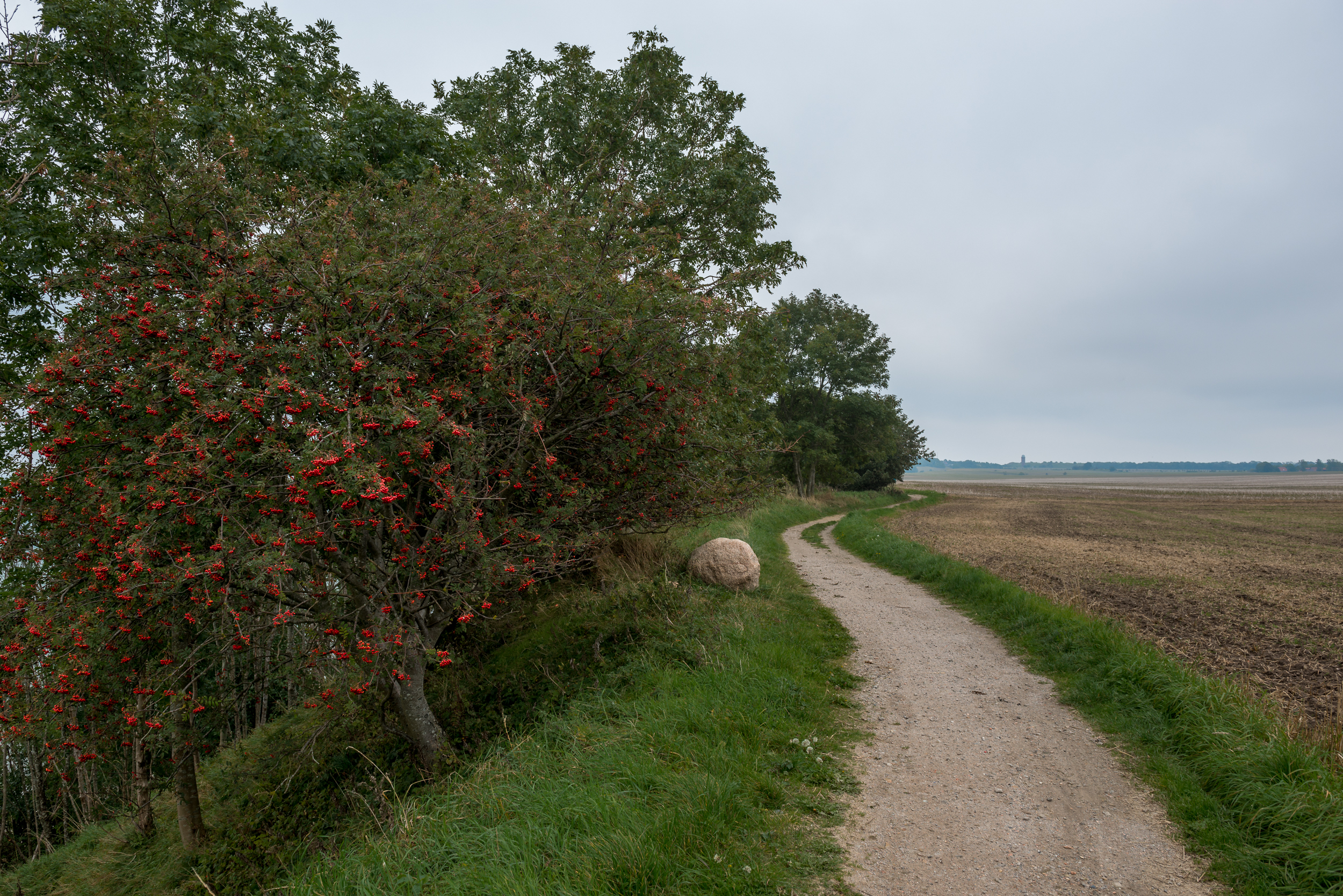 Rügen_20170924_0397_2500px.jpg