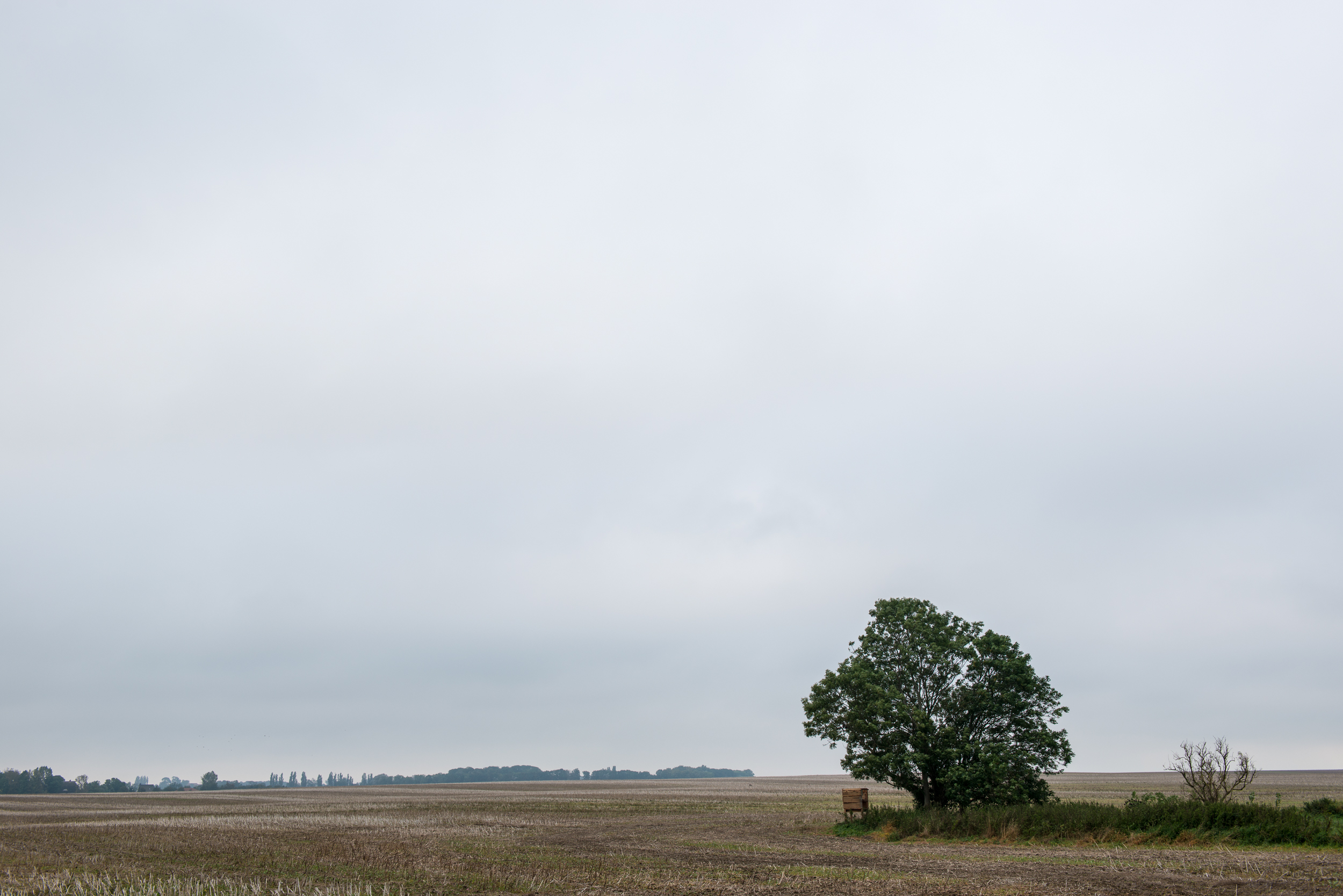 Rügen_20170924_0386_2500px.jpg