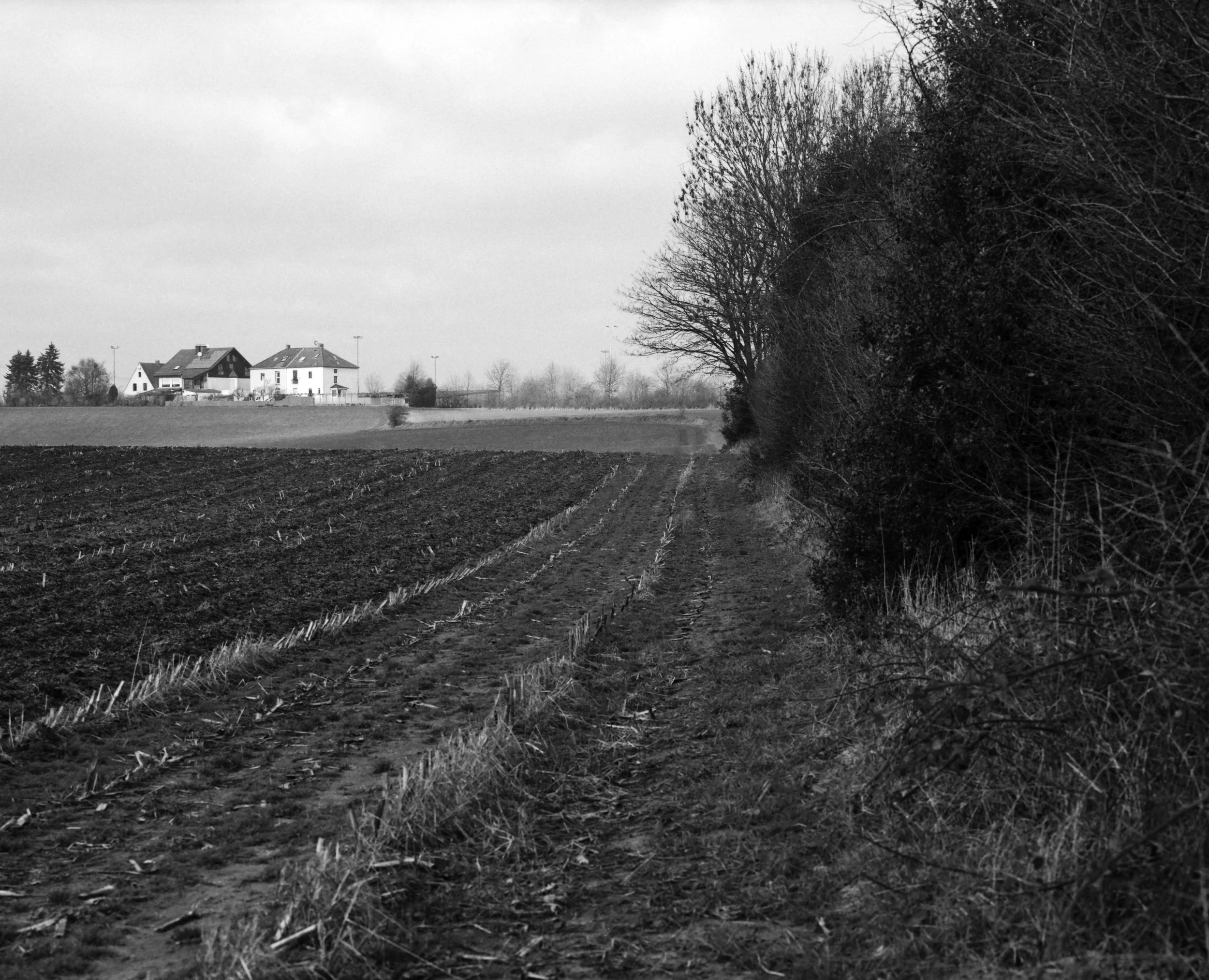 Hasslinghausen_20181229_03_2500px.jpg