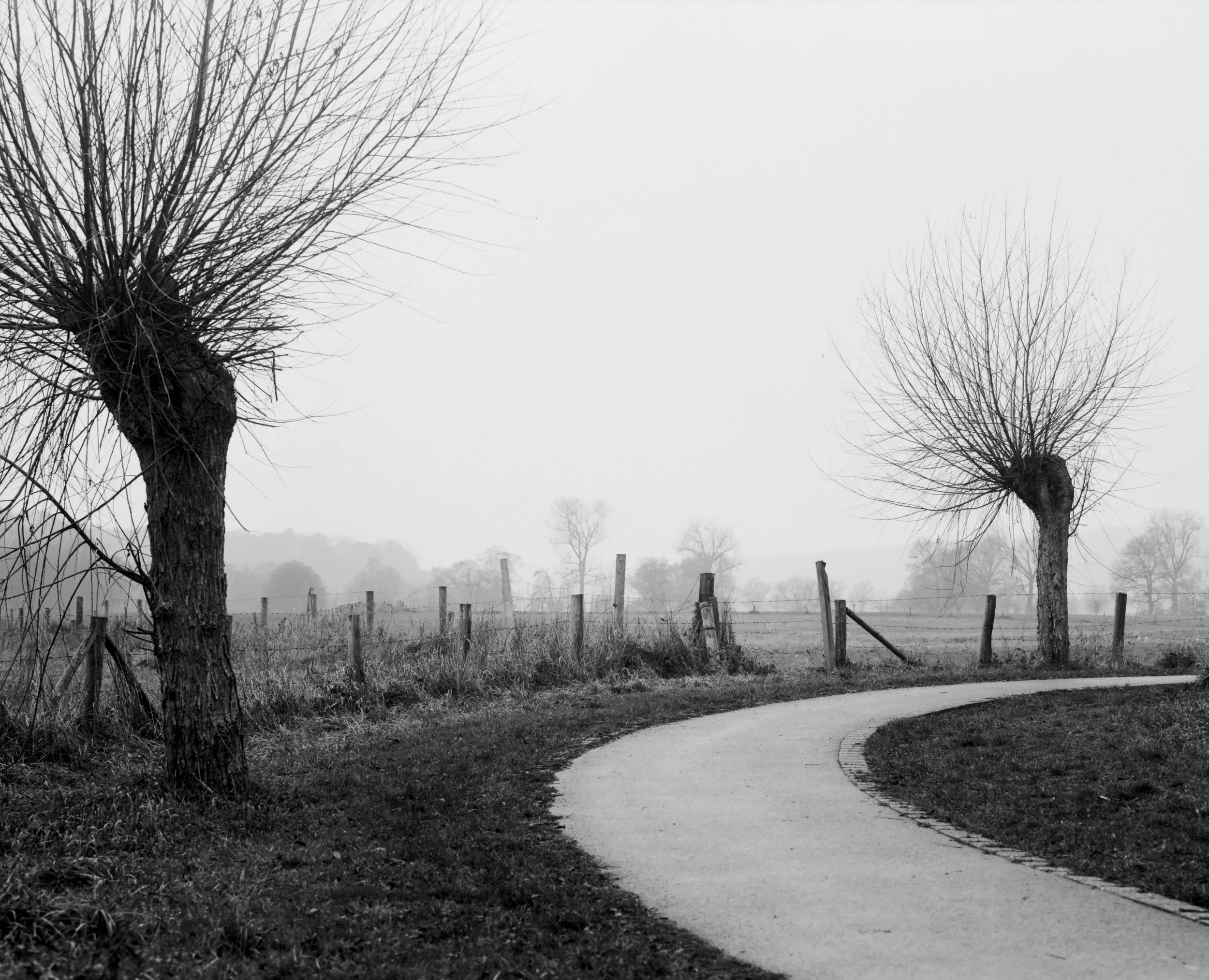 Ruhrtal_20181229_08_2500px.jpg