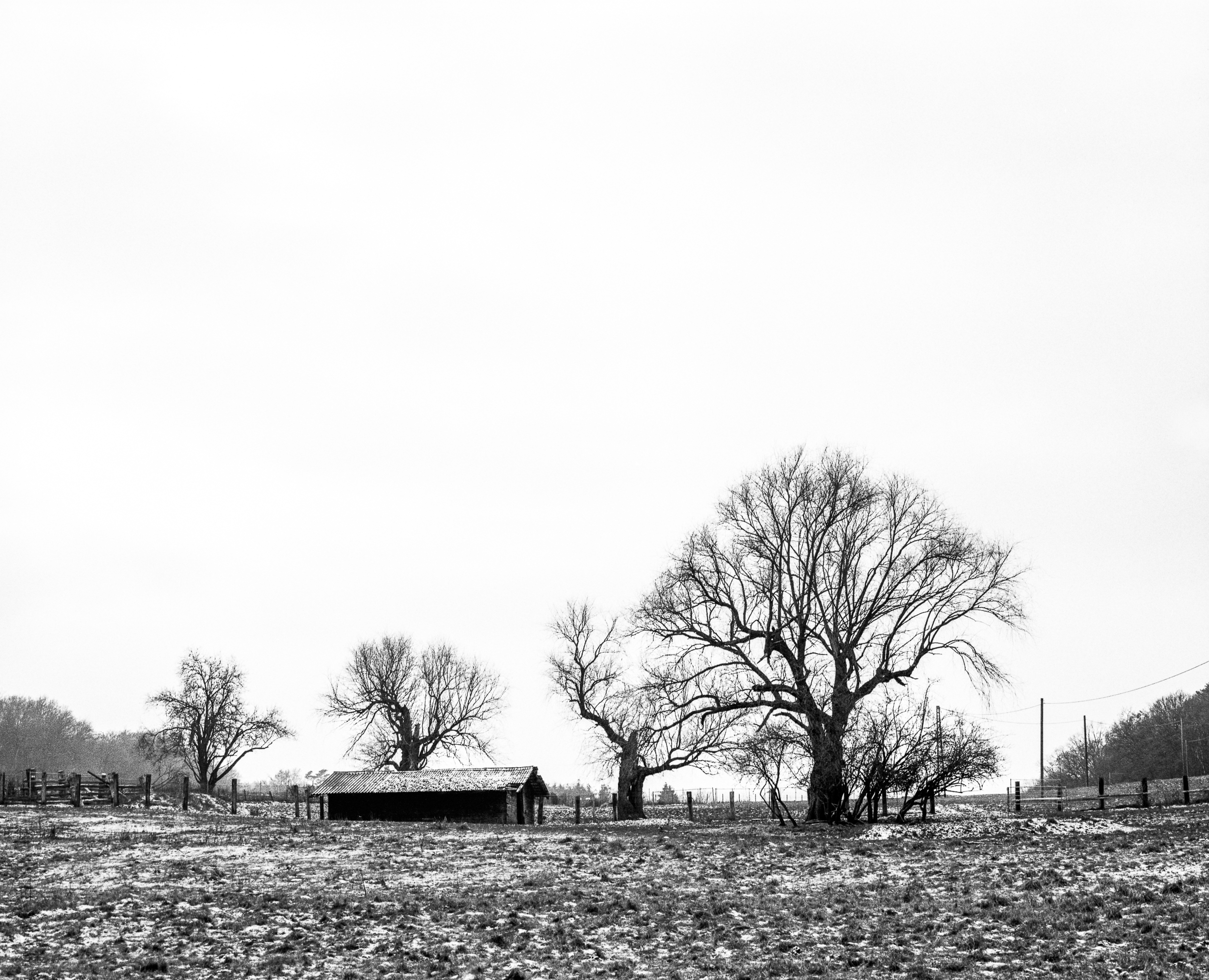 Muttental_006_2500px.jpg