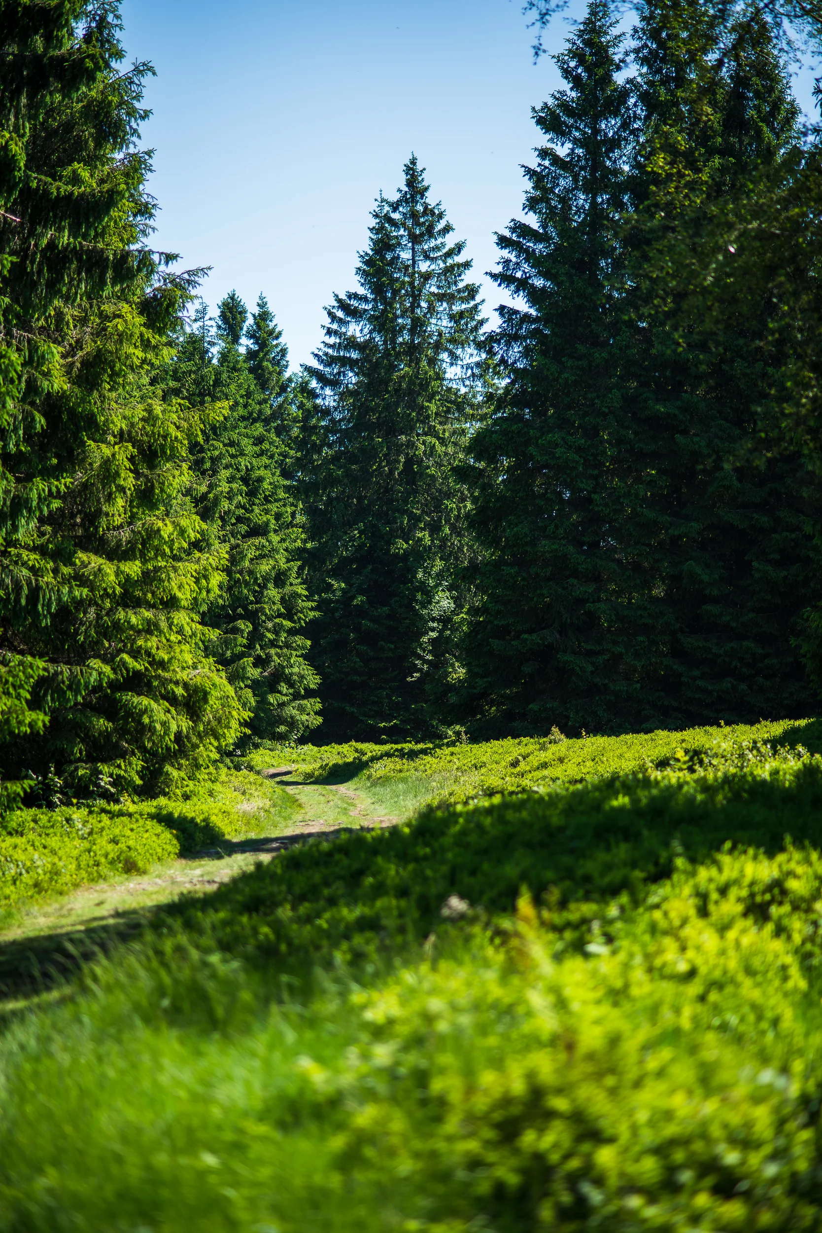 Winterberg_20190619_0196_2500px.jpg