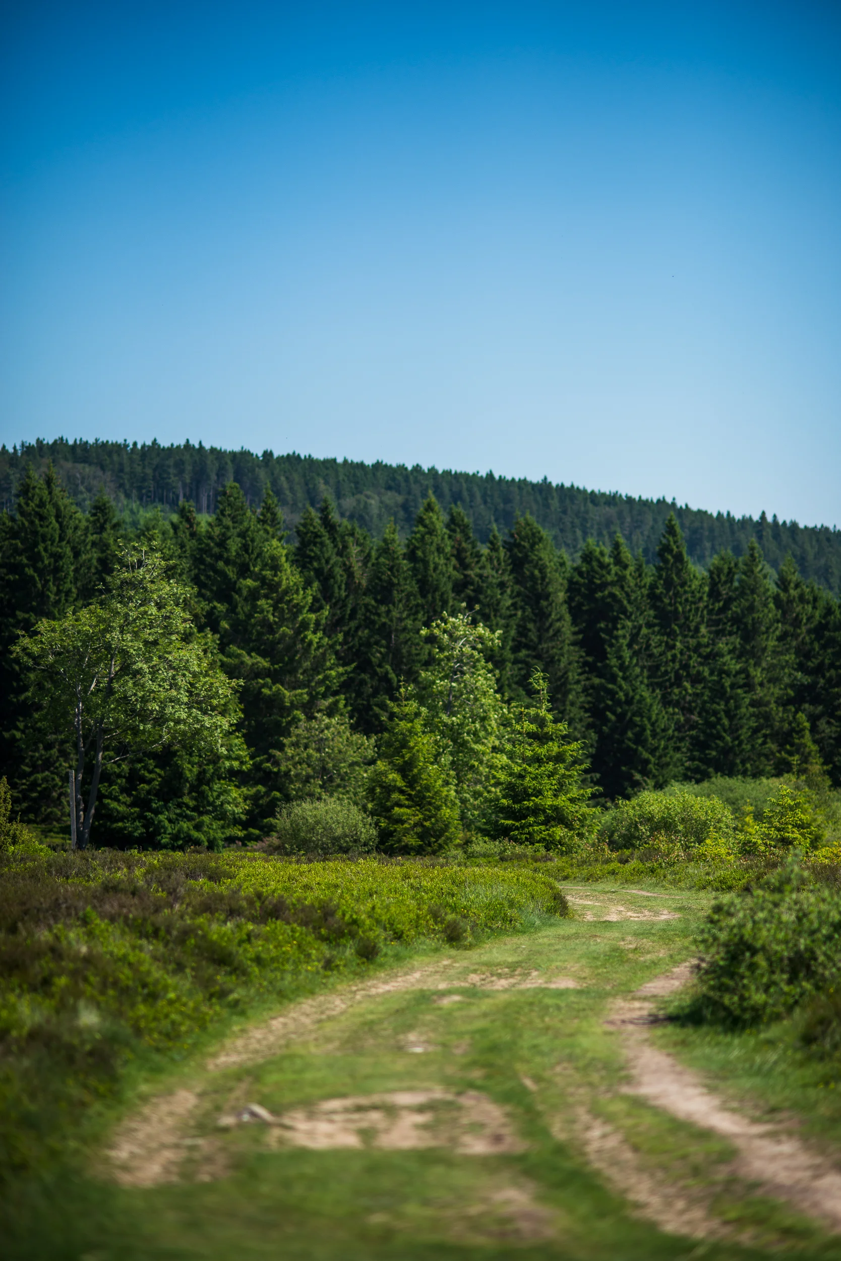 Winterberg_20190619_0202_2500px.jpg
