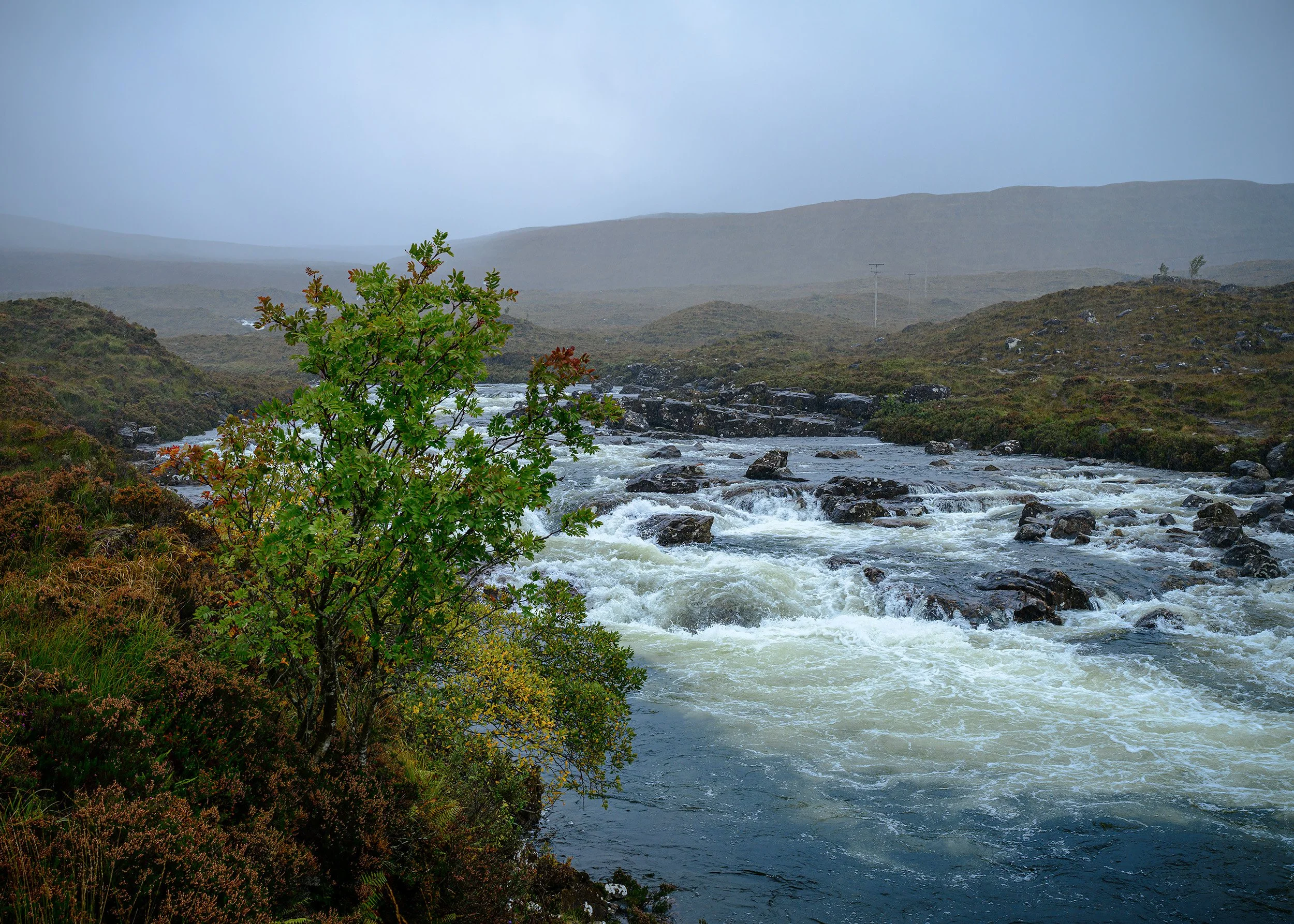 Schottland_2023_20230921_0653_2500px.jpg