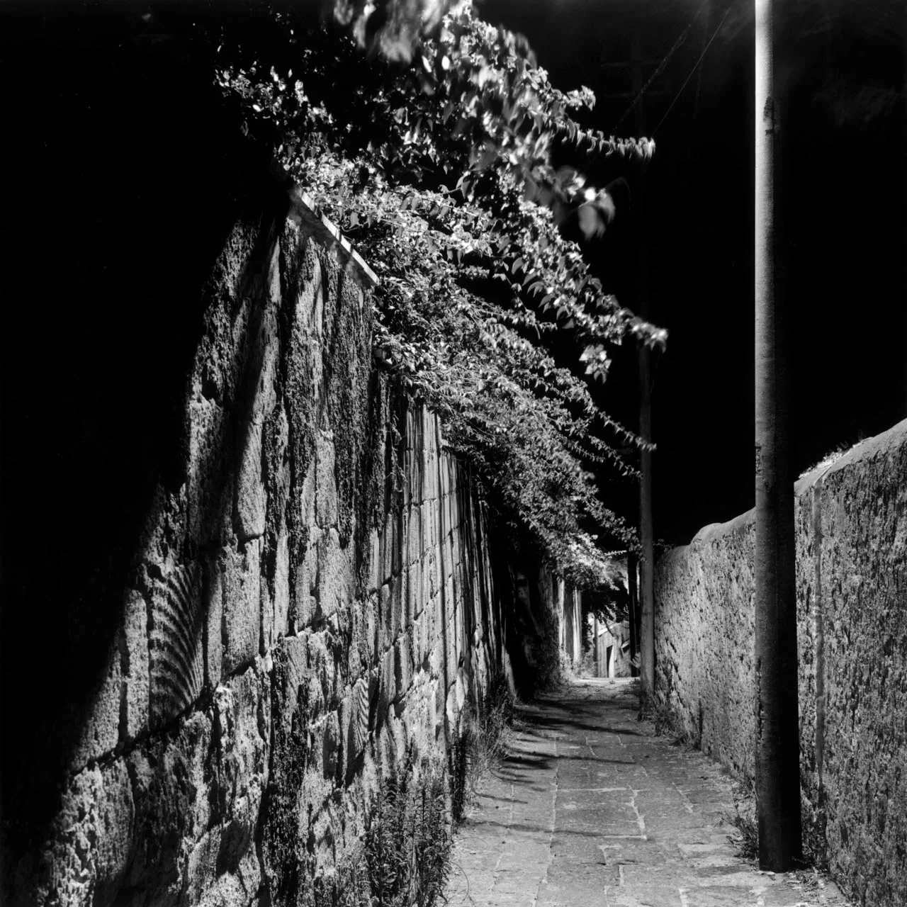 Discesa Gaiola, Napoli, 2001 Stampa digitale su carta Hahnemuhle, cm 100x100 / 120x120 / 140x140 (ed. 6 + 1AP)