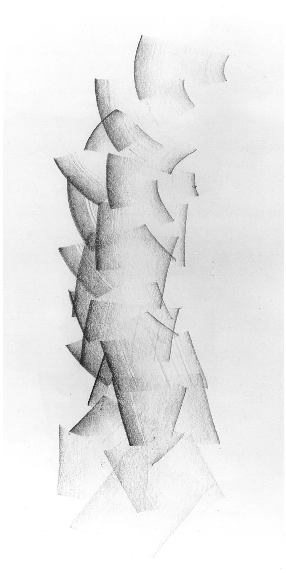 disegno 1 , cm 20x30