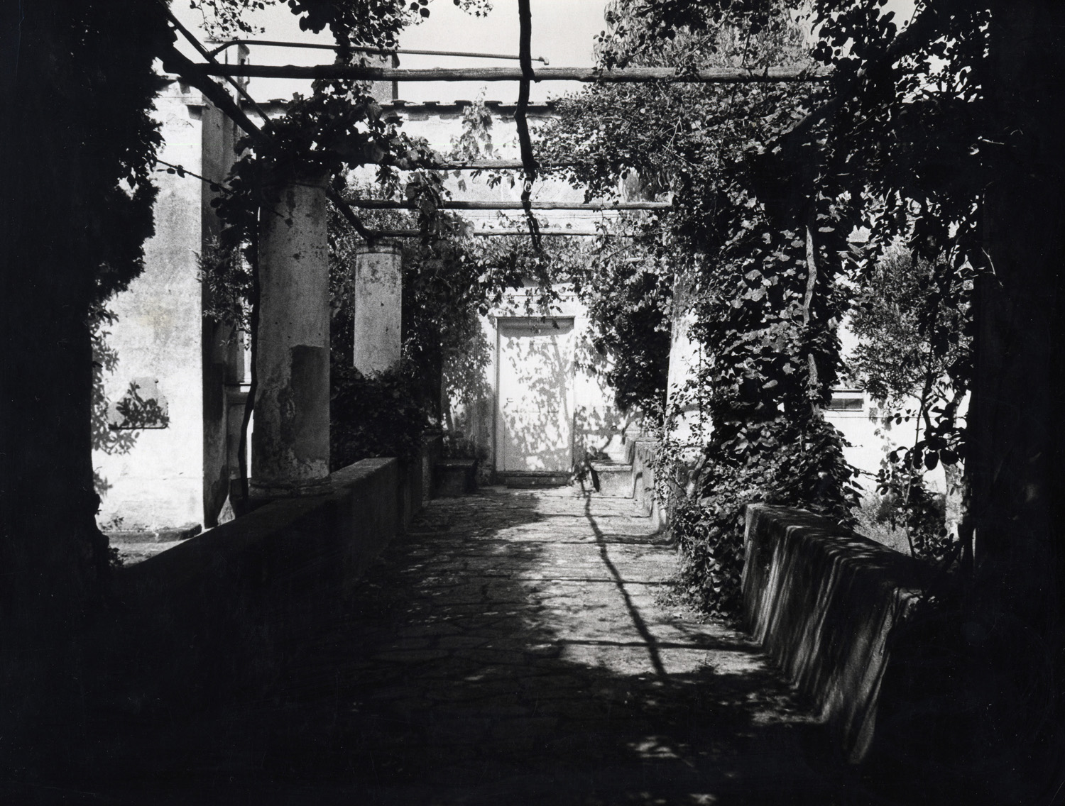 pergolato di villa Orlandi/Villa Orlandi's Trellis, 1971 