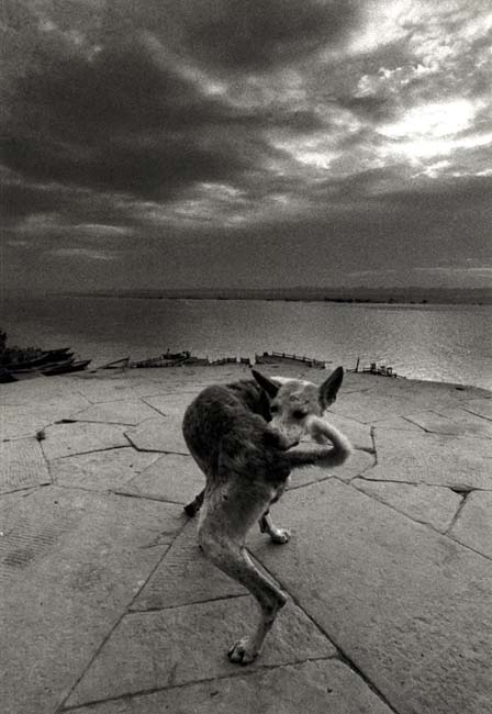 Ferdinando Scianna 02.12.1994