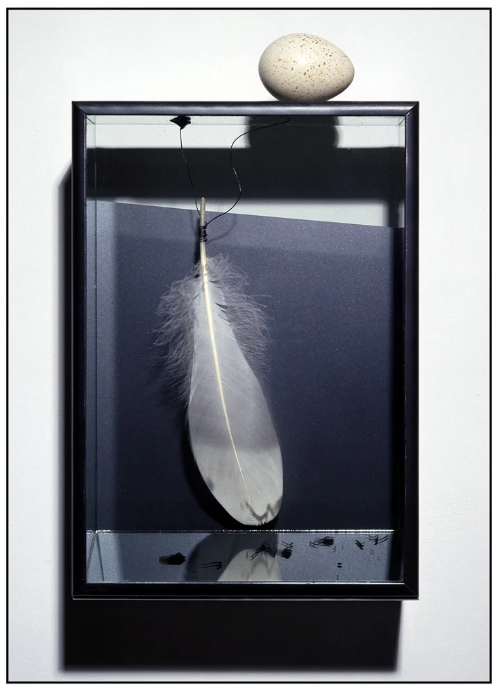 Rebecca Horn , 2003 Box uovo, piuma, specchio, vetro ferro (Egg, feather, mirror, glass and steel) cm. 39x24