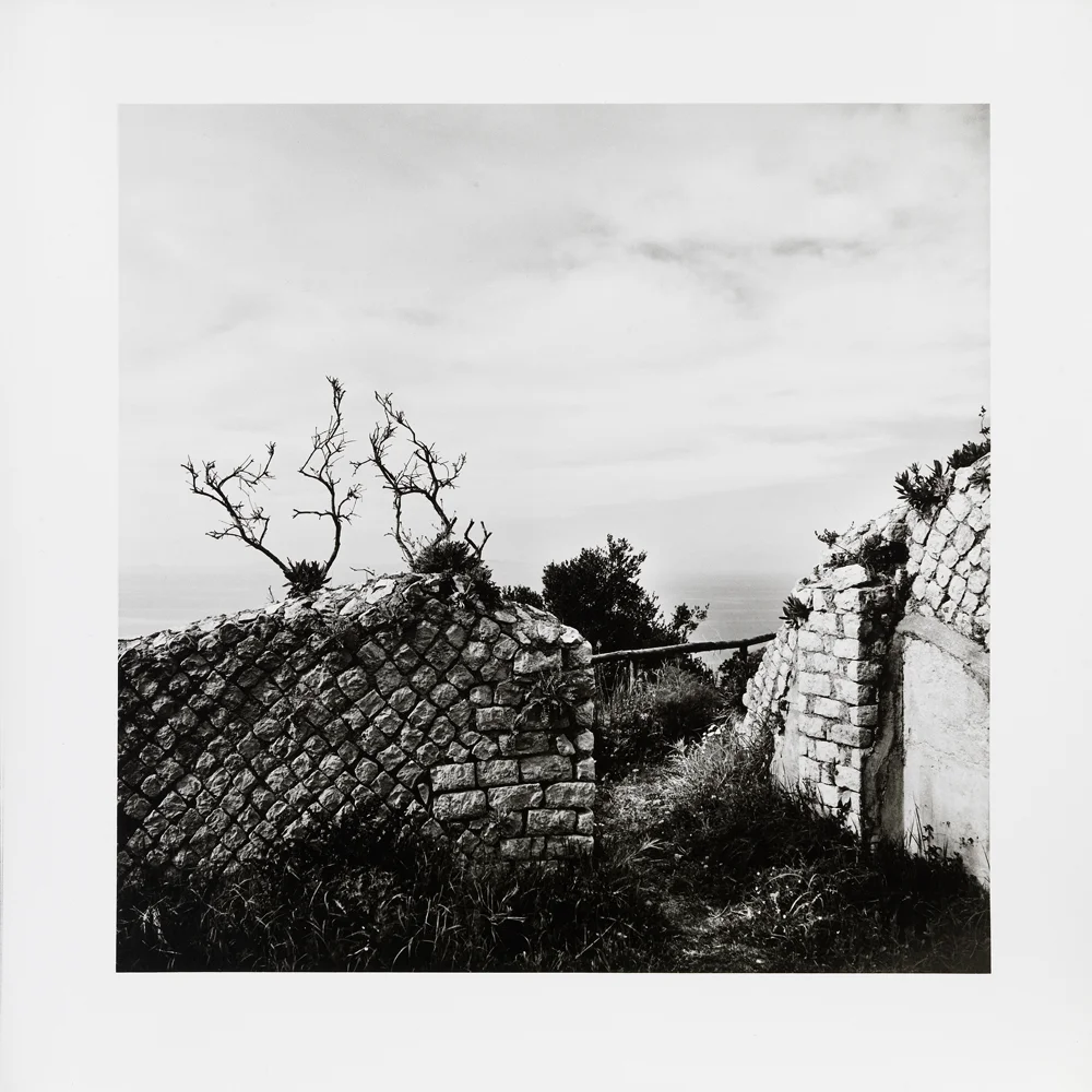 Mimmo Jodice