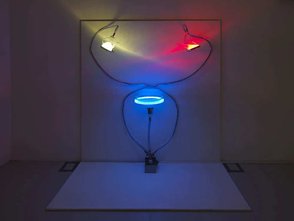 Eulalia Valldosera, Fonte dell'incontro , 2016