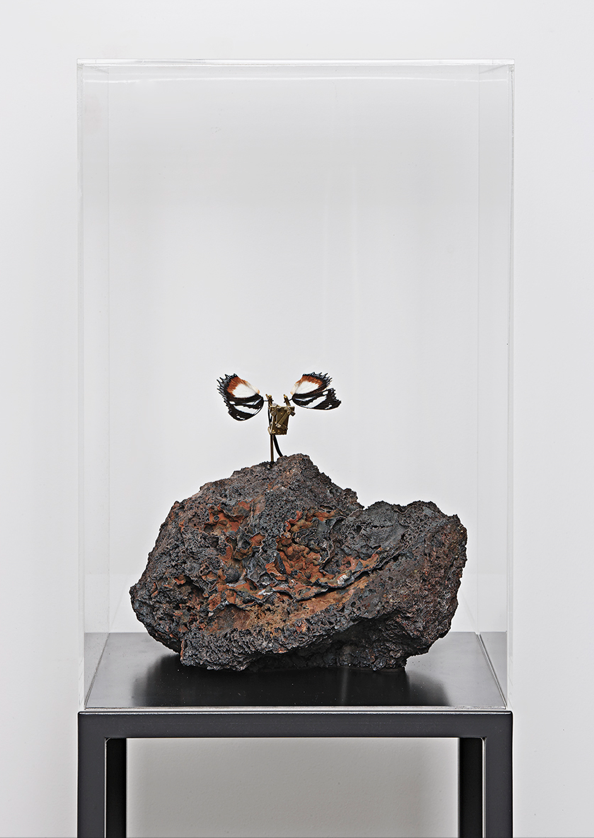 A Butterfly Dream , 2016, lave stone, butterfly, steel, brass, electronic device, motor, transparent cover cm 140x40x40 (with cover cm 204x40x40; pedestal cm 100)