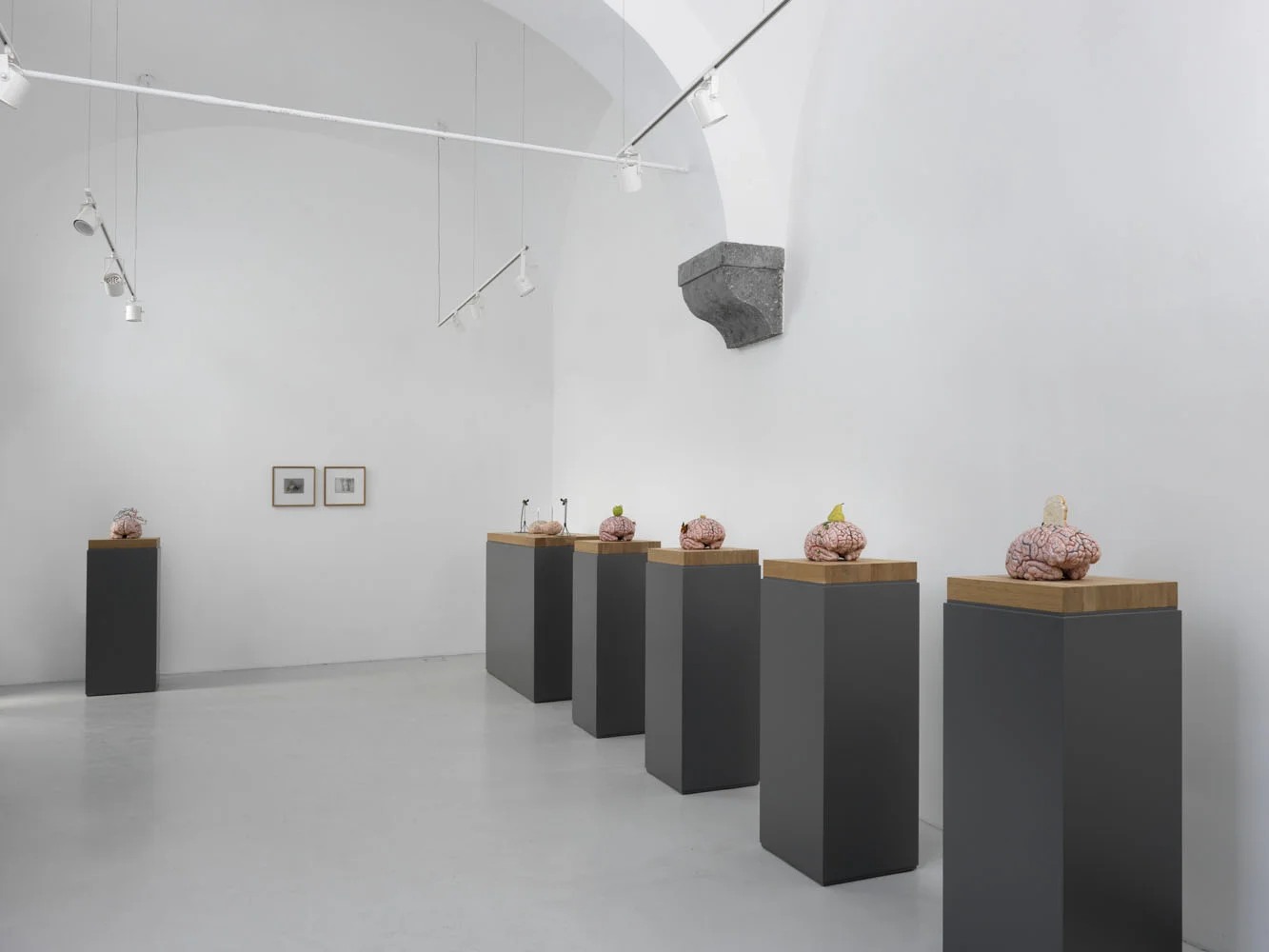 Fabre_Studio Trisorio_3122.jpg