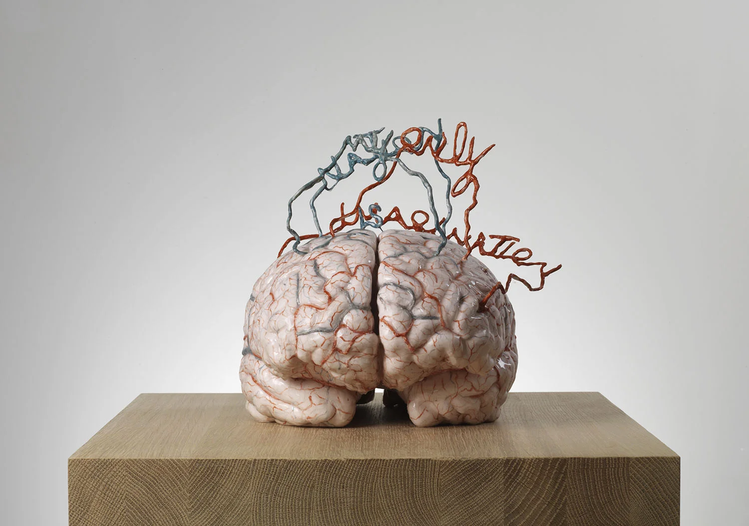 My only nation is imagination , 2014, silicon, wood, metal-wire and paint, 27x28,5x 30,9 cm Ph. Lieven Herreman © Angelos bvba