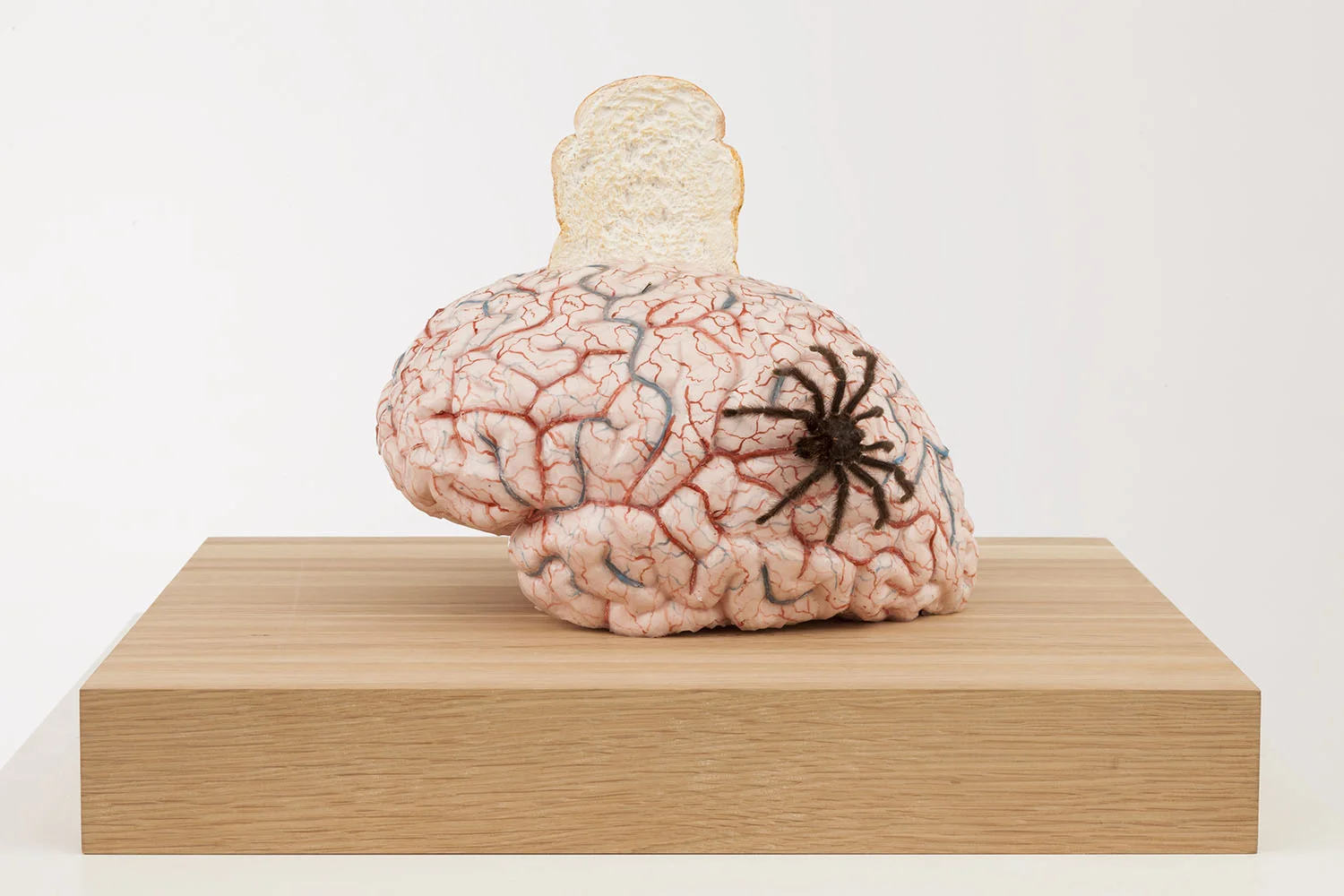 Laughter and bread mirror , 2014, silicon, pigment, wax, wood, metal, insects, 50 x45x33,7 cm Ph. Pat Verbruggen © Angelos bvba