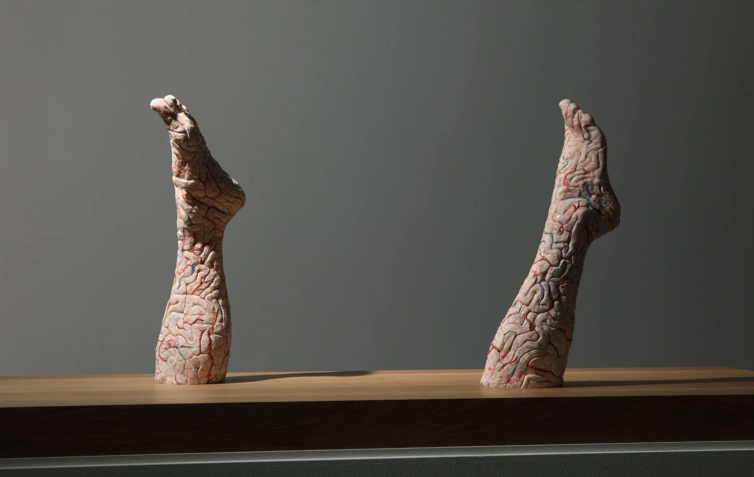 Brain Legs , 2010, silicon, paint, 52x16x14 cm (left leg); 49,5x15 x14 cm (right leg) Ph. Attilio Maranzano © Angelos bvba