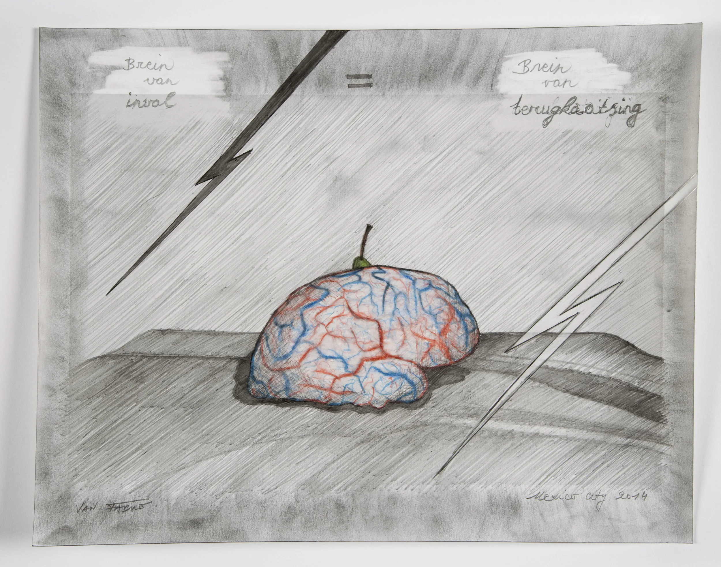 Brain of incidence = brain of reflection , 2014, HB pencil and colour pencil on photographic paper, 24 x 30,5 cm Ph. Pat Verbruggen © Angelos bvba