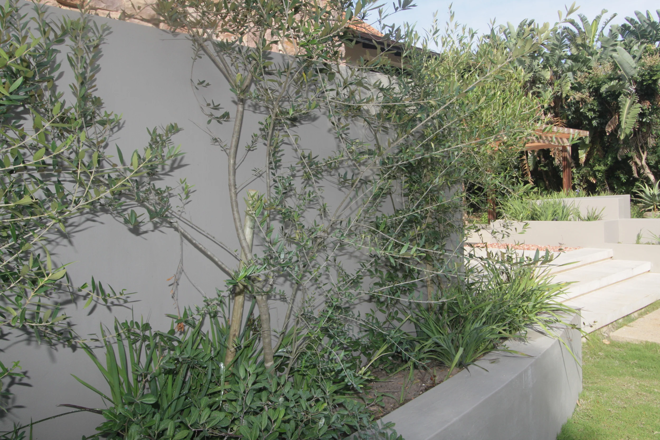 Landscaping Ballito | Zimbali Coastal Estates.JPG