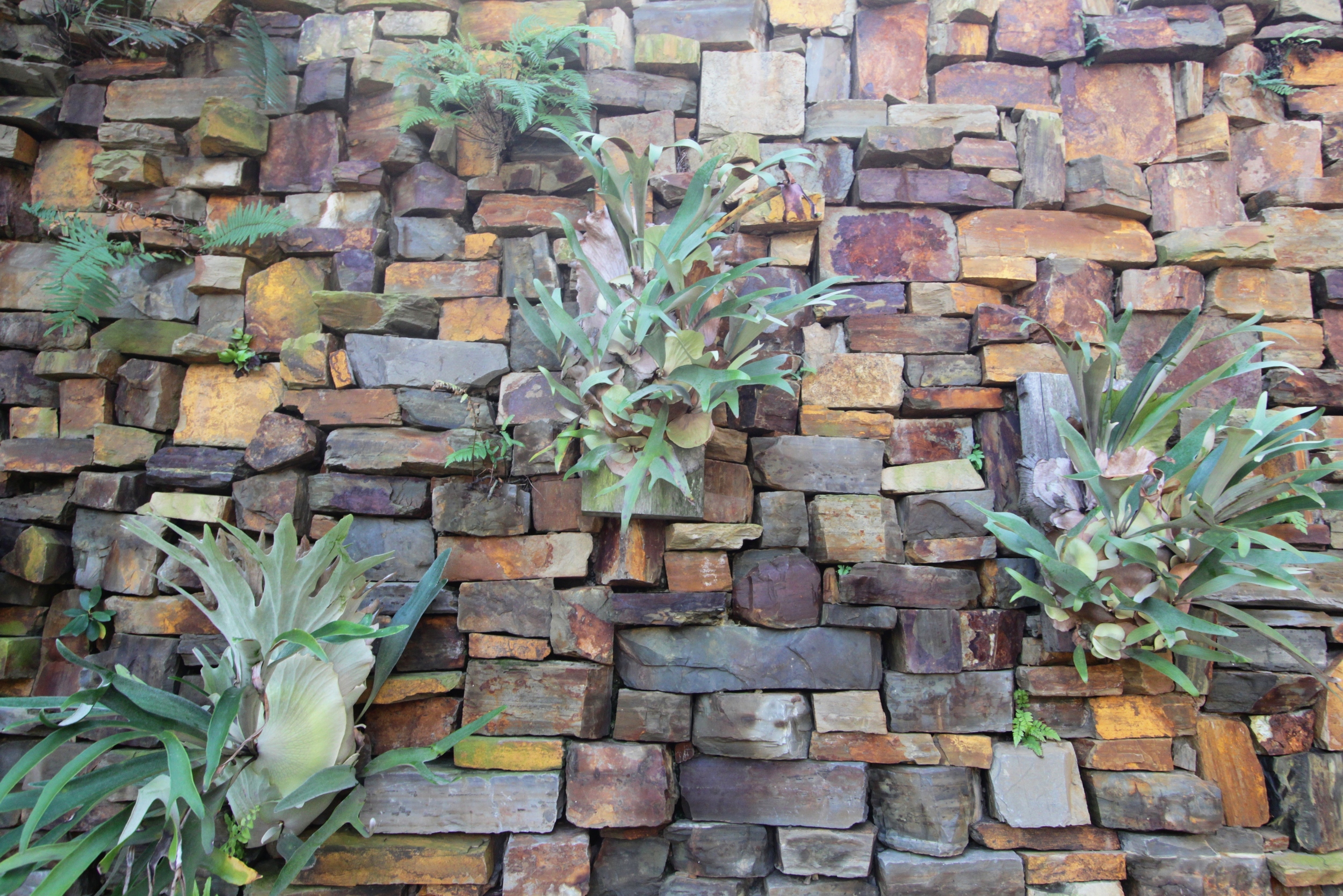 Landscaping Ballito | Zimbali Coastal Estates.JPG