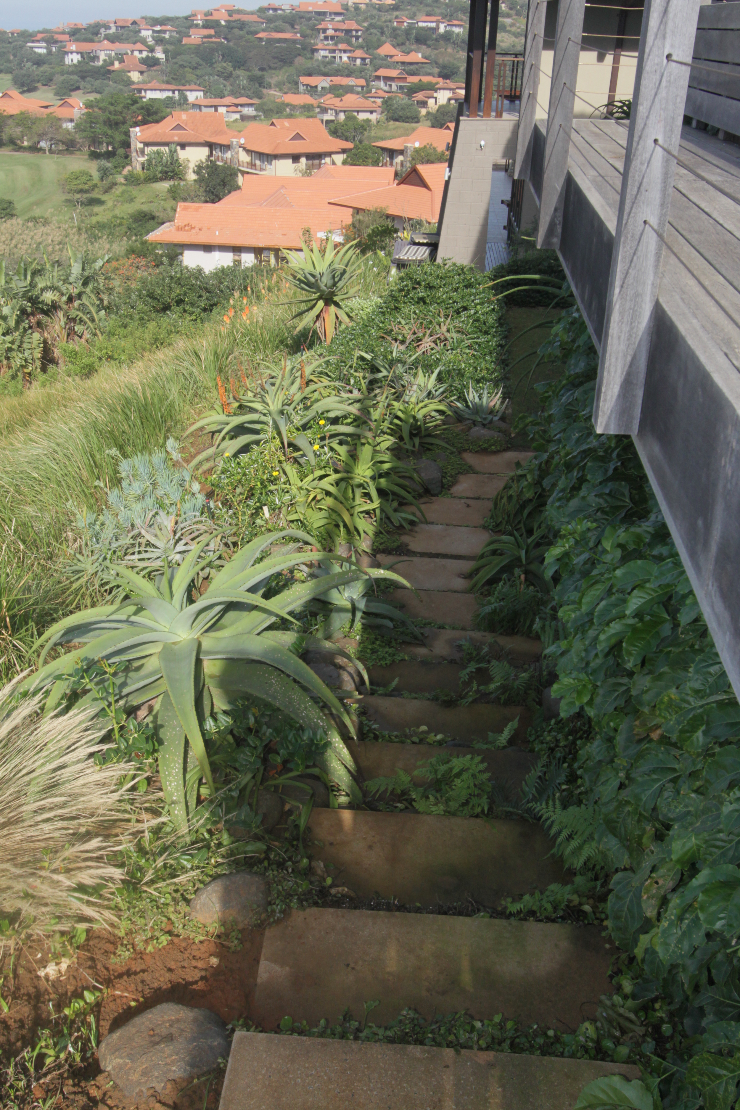 Landscaping Ballito | Zimbali Coastal Estates.JPG