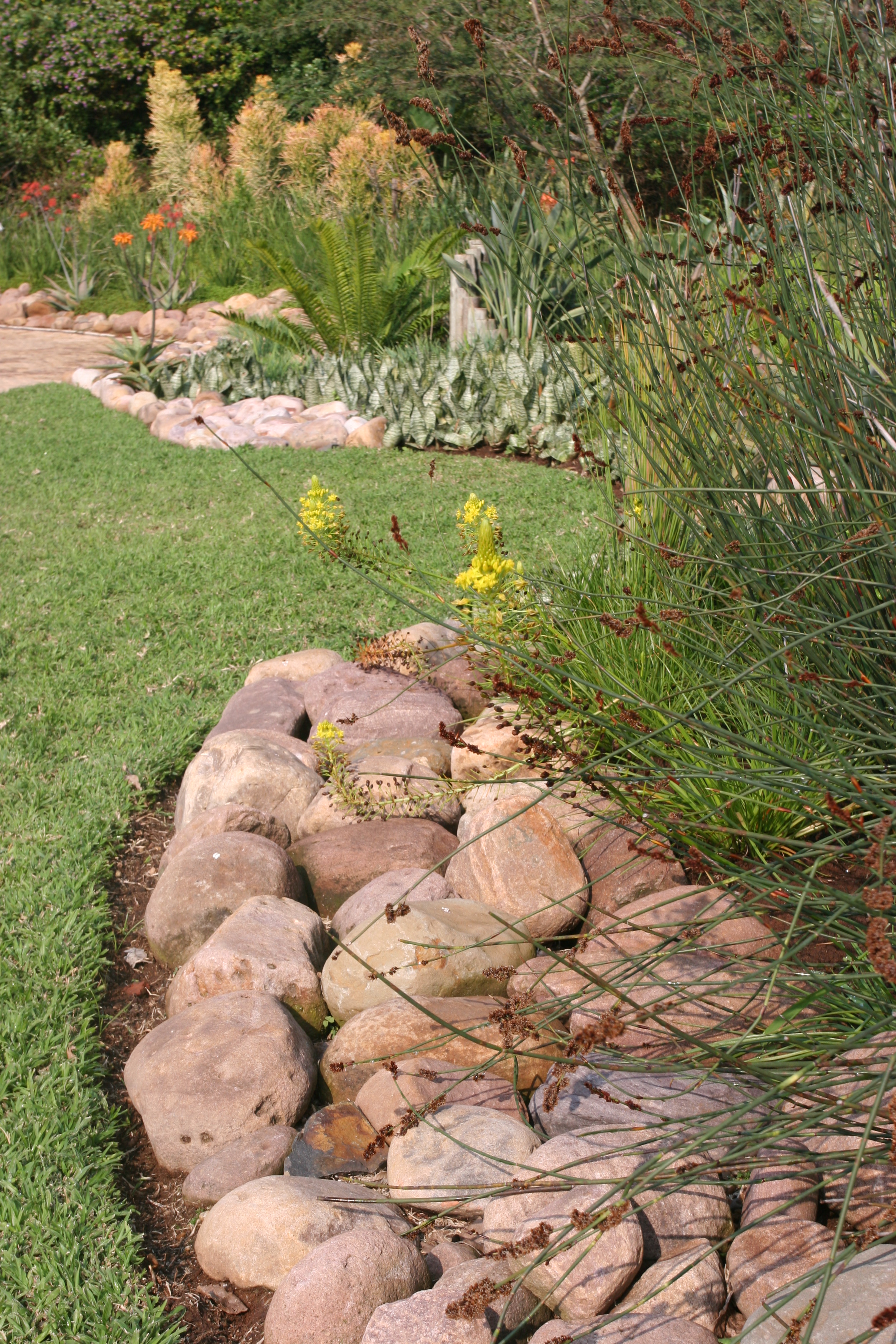 Landscaping Ballito | Zimbali Coastal Estates.JPG