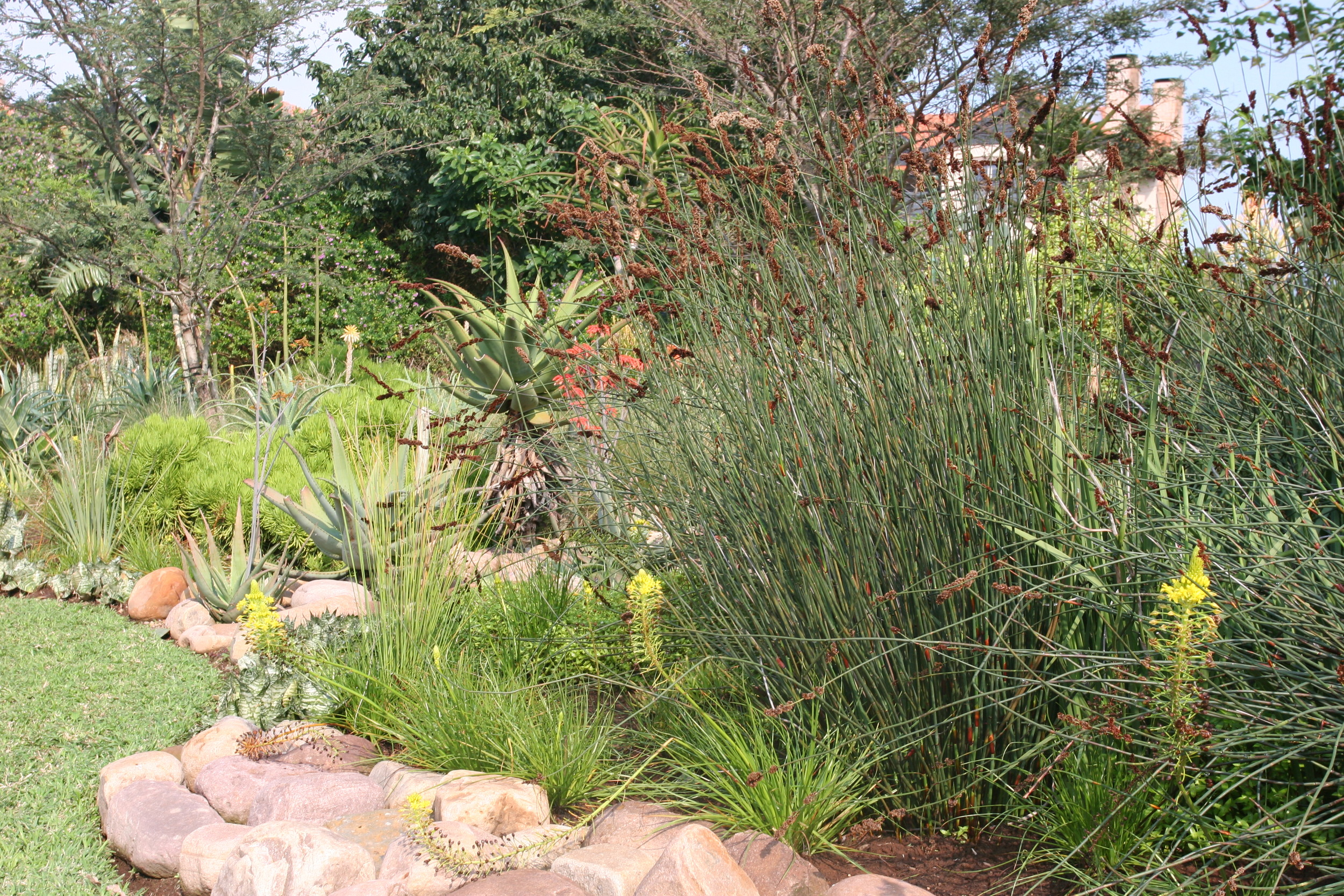 Landscaping Ballito | Zimbali Coastal Estates.JPG