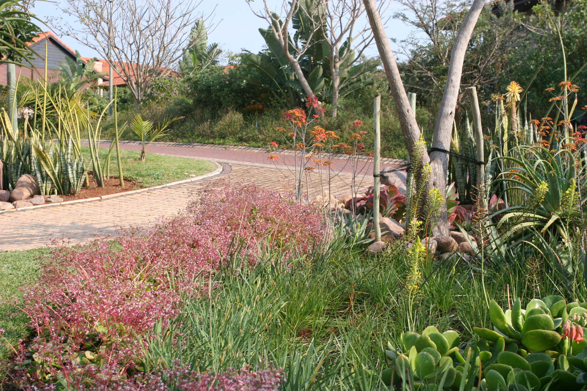 Landscaping Ballito | Zimbali Coastal Estates.JPG