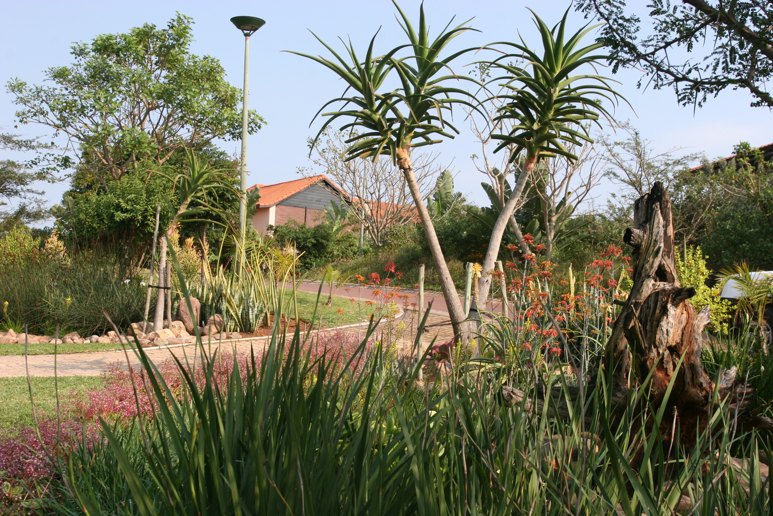 Landscaping Ballito | Zimbali Coastal Estates.JPG