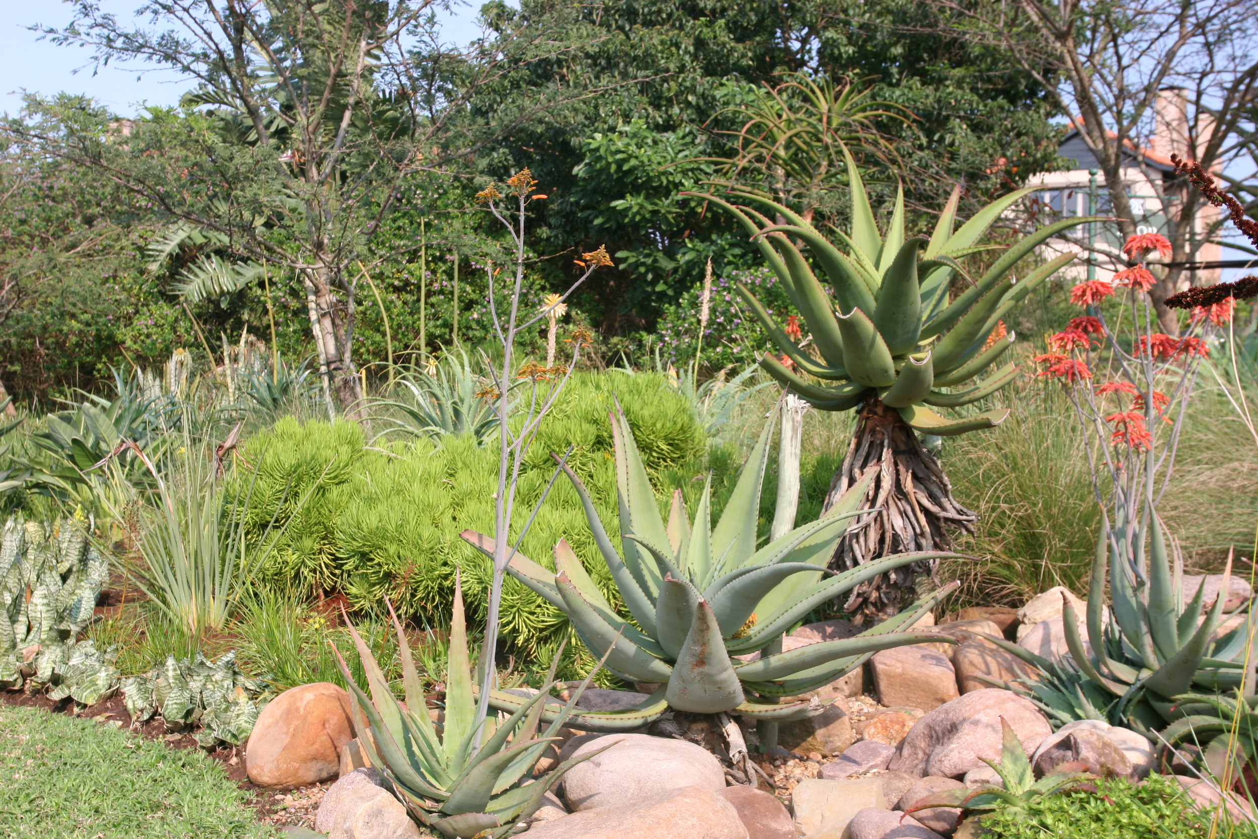 Landscaping Ballito | Zimbali Coastal Estates.JPG