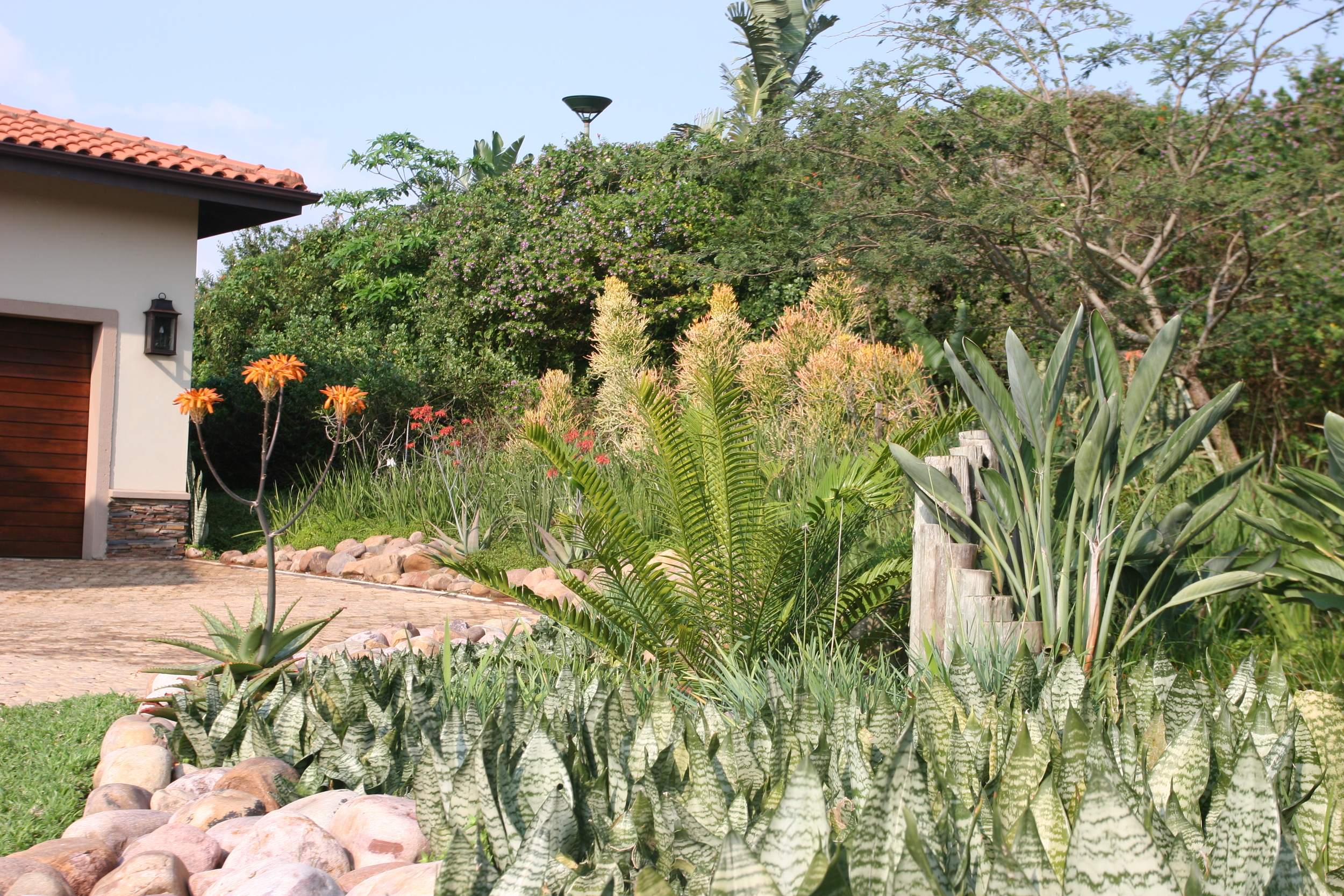 Landscaping Ballito | Zimbali Coastal Estates.JPG