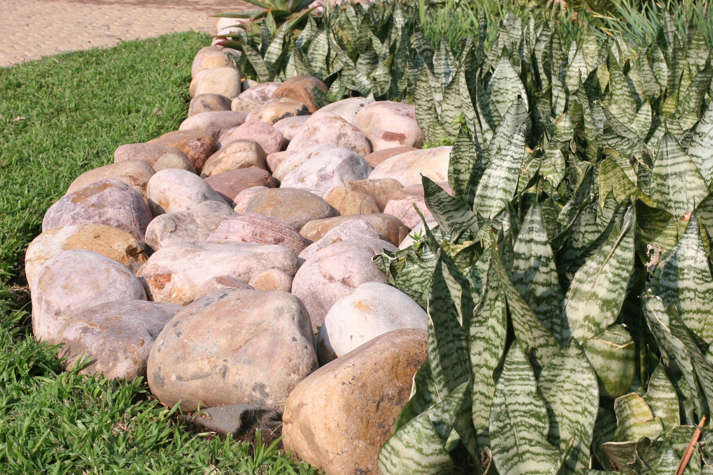 Landscaping Ballito | Zimbali Coastal Estates.JPG