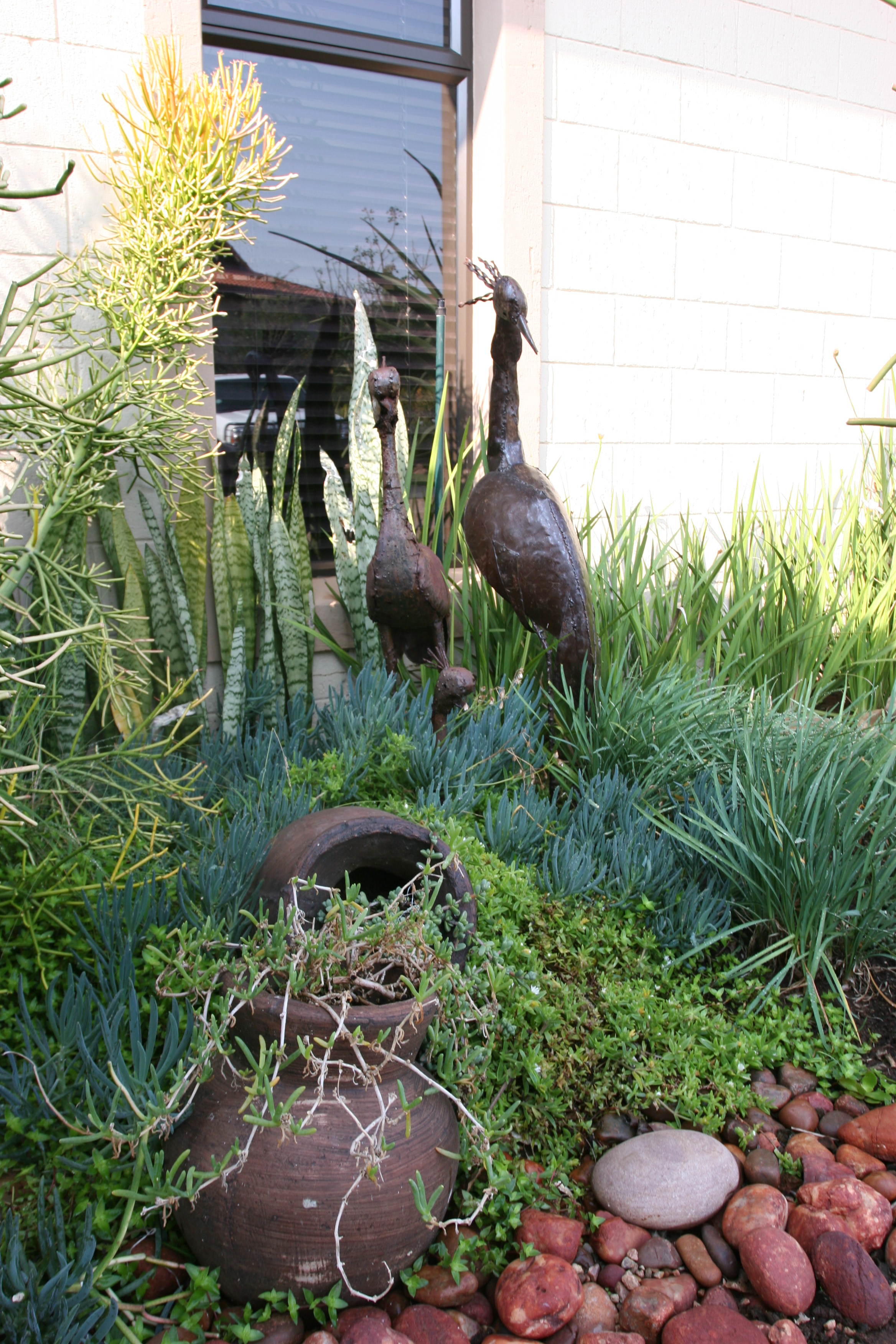 Landscaping Ballito | Zimbali Coastal Estates.JPG