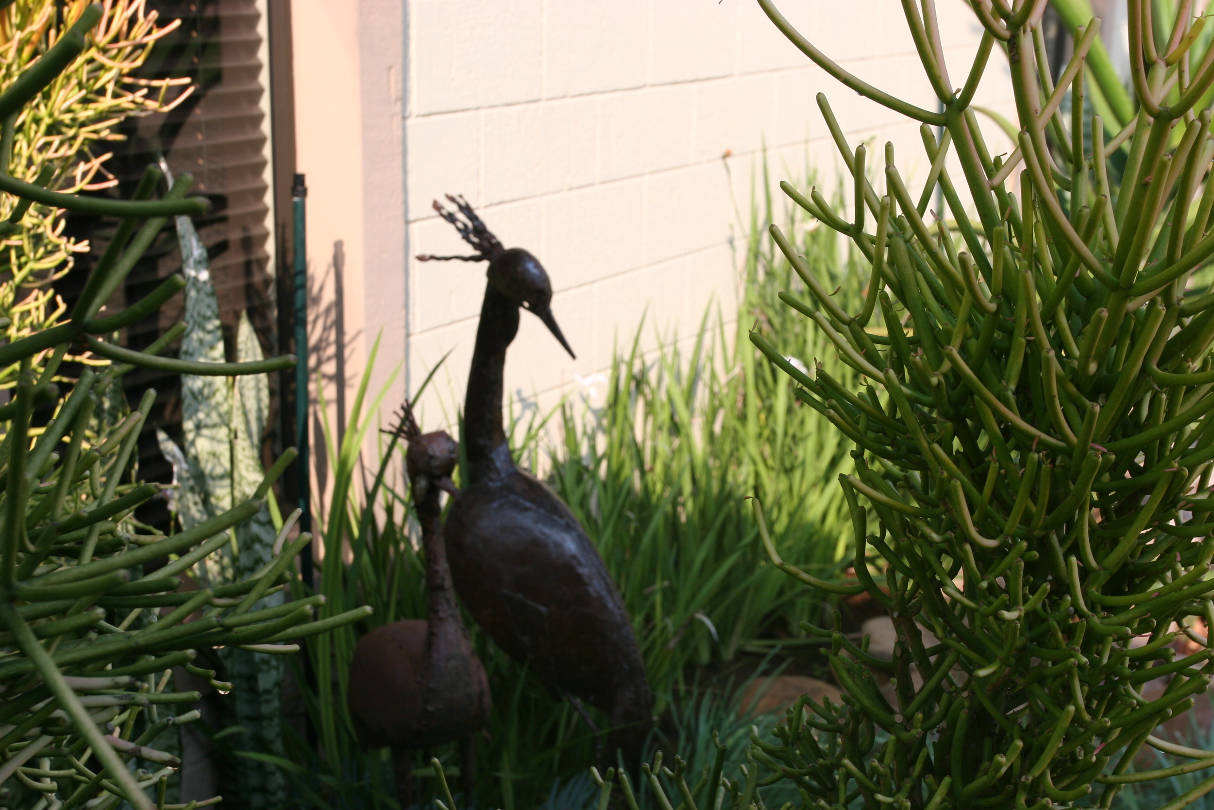 Landscaping Ballito | Zimbali Coastal Estates.JPG