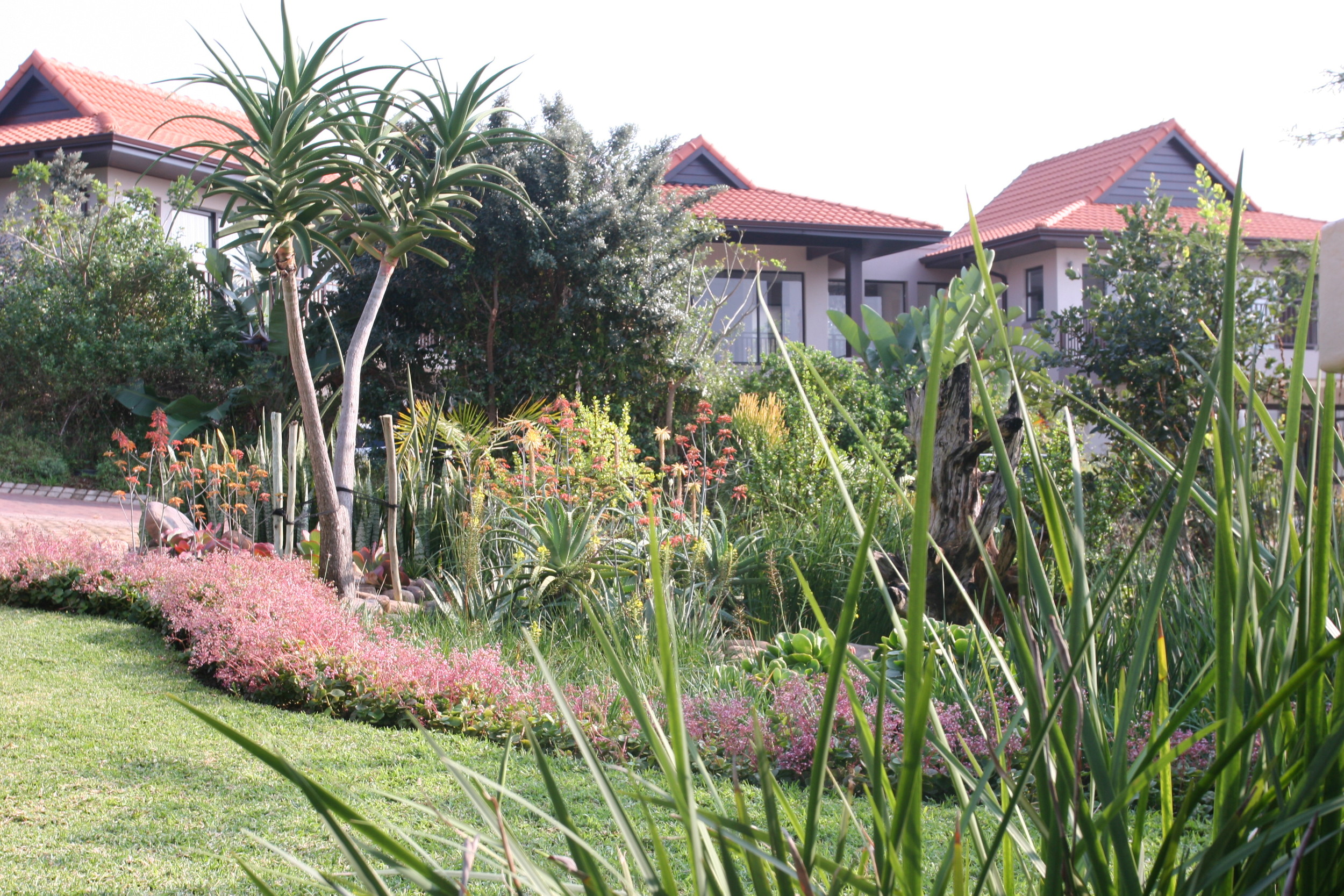 Landscaping Ballito | Zimbali Coastal Estates.JPG