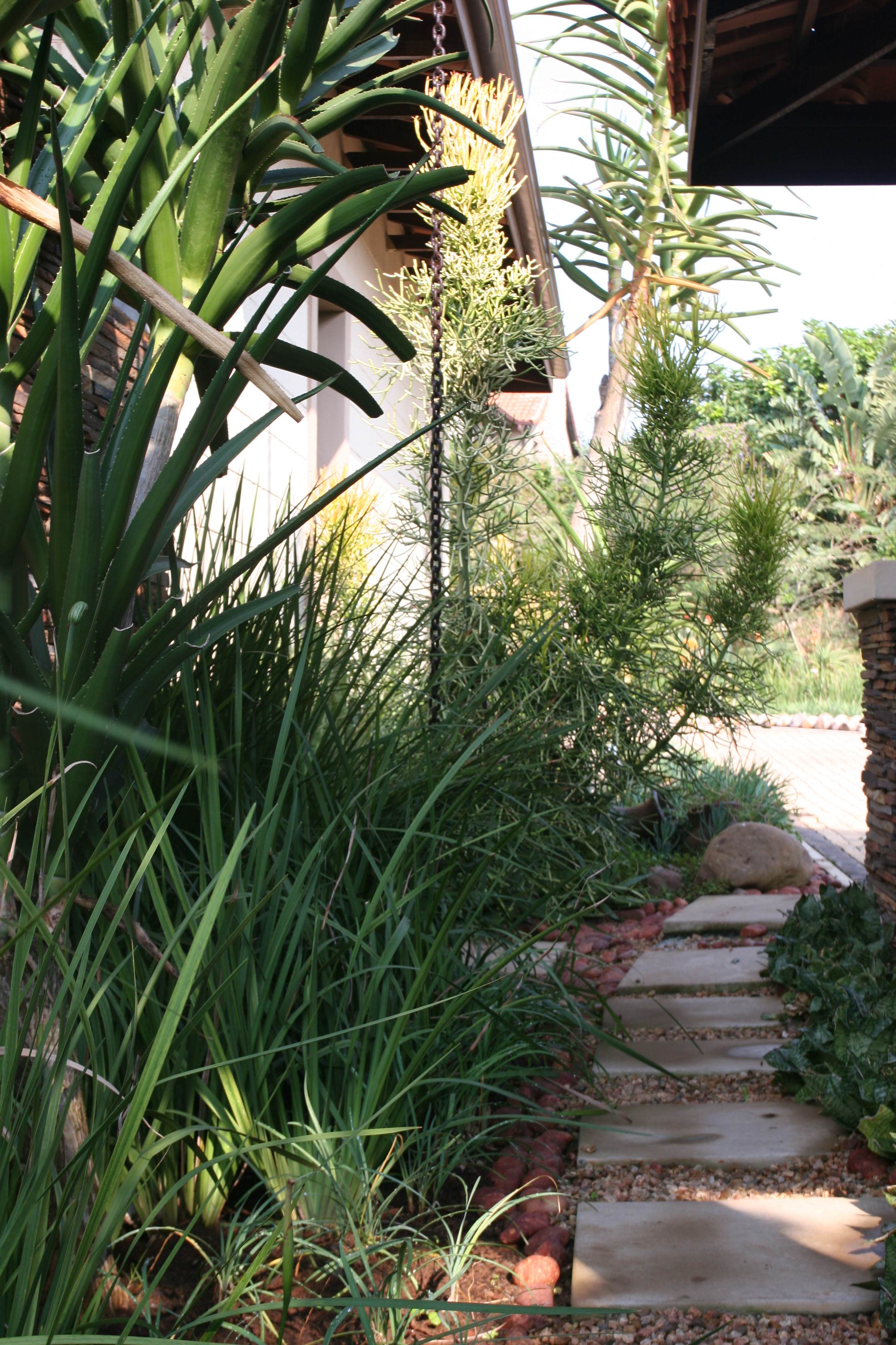 Landscaping Ballito | Zimbali Coastal Estates.JPG