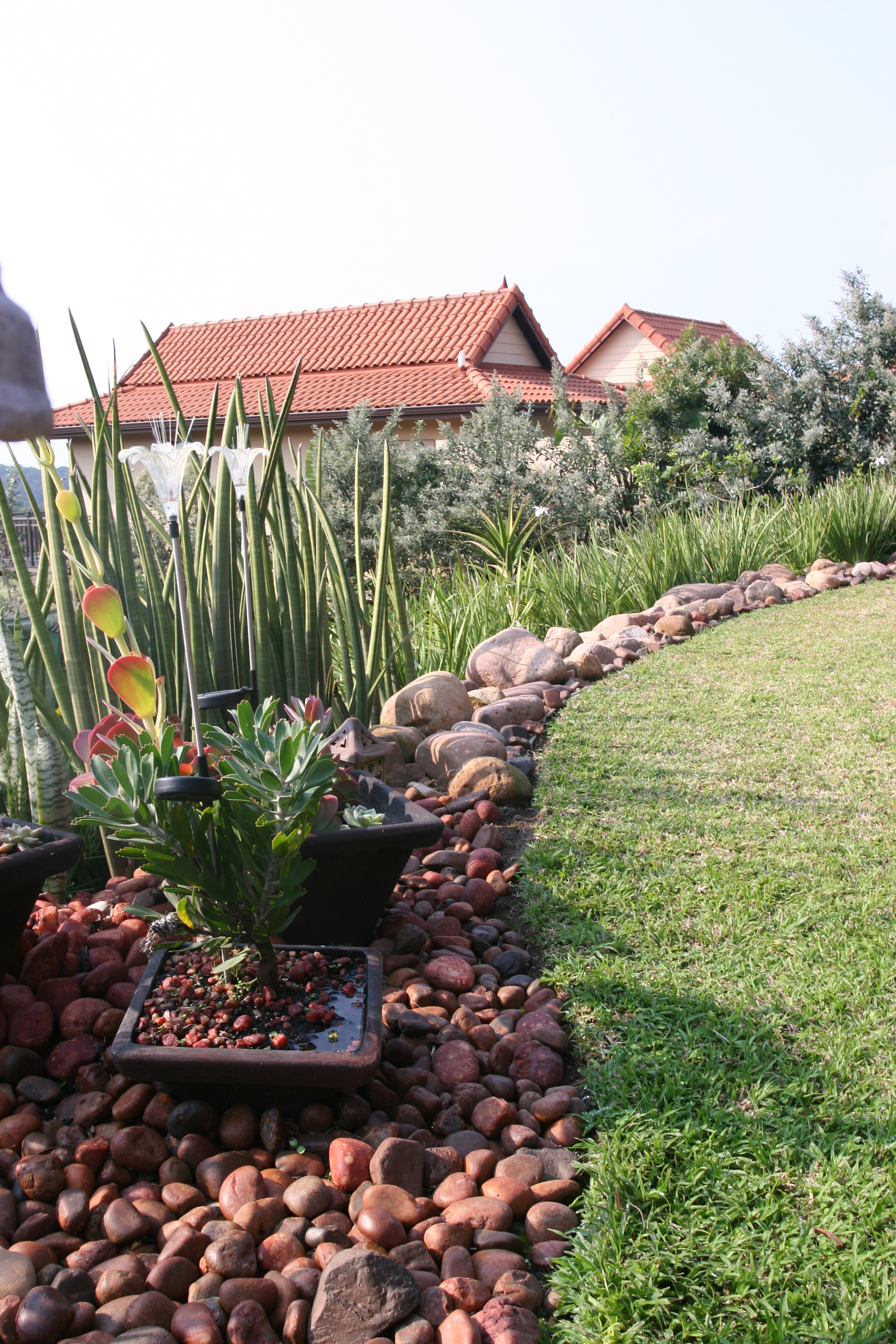 Landscaping Ballito | Zimbali Coastal Estates.JPG