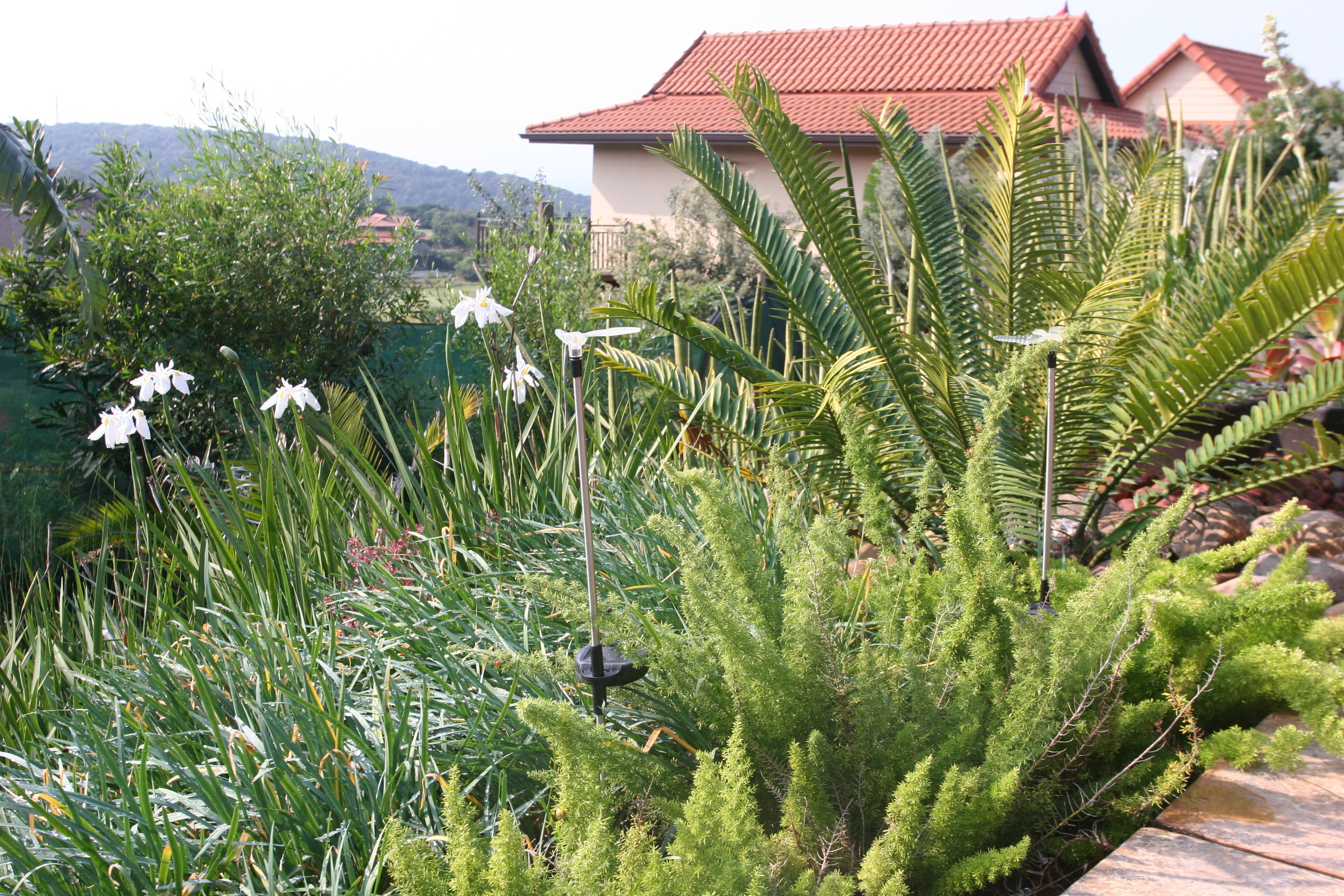 Landscaping Ballito | Zimbali Coastal Estates.JPG