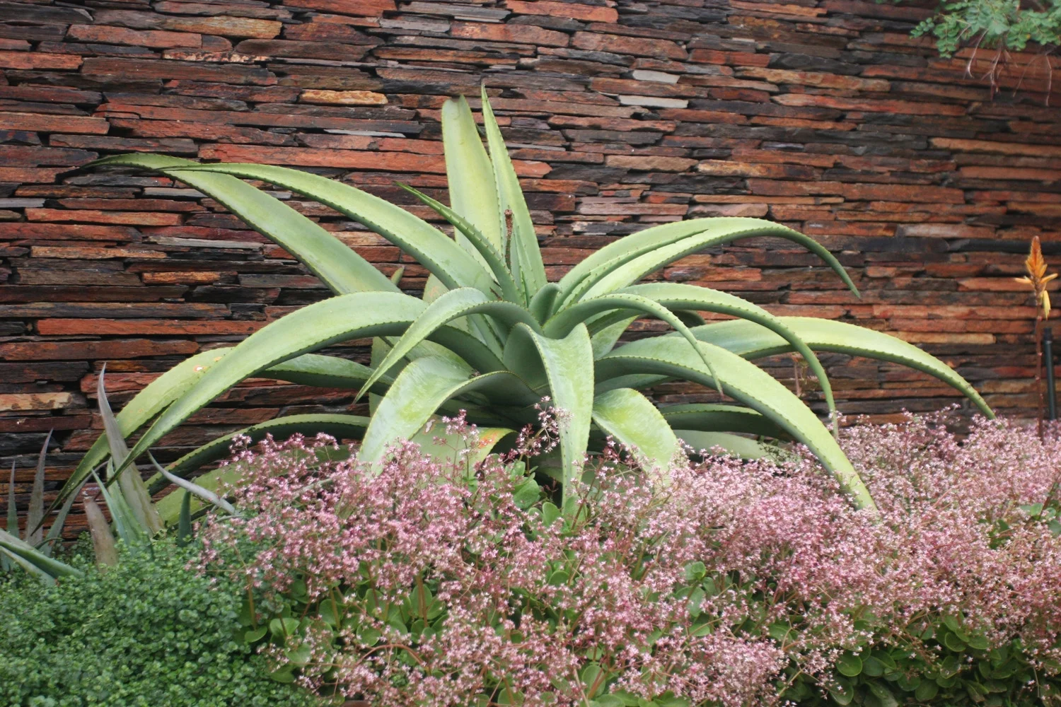 Increase the value of your commercial property? Add a garden. — Eco