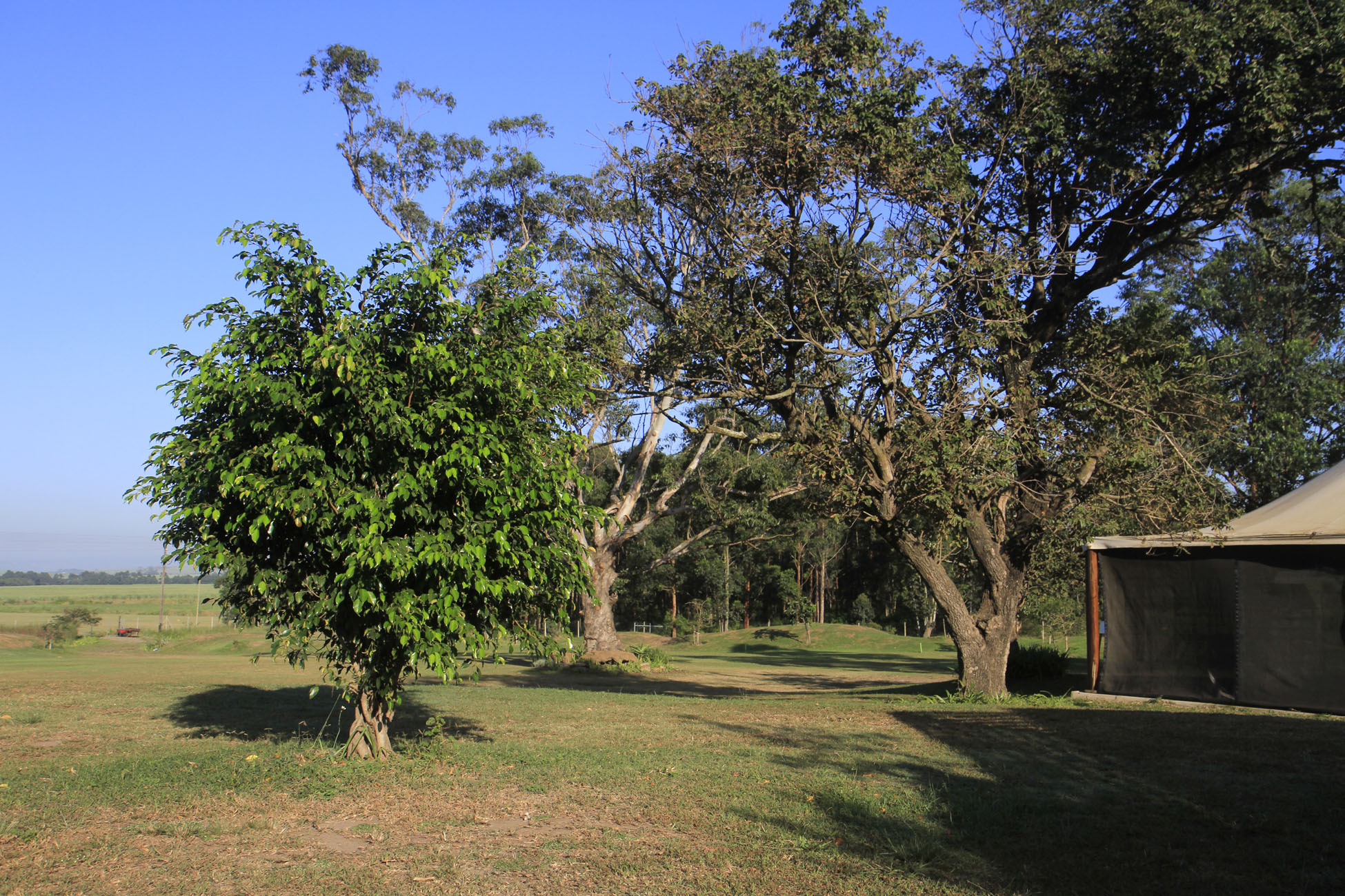 _MG_8003.jpg