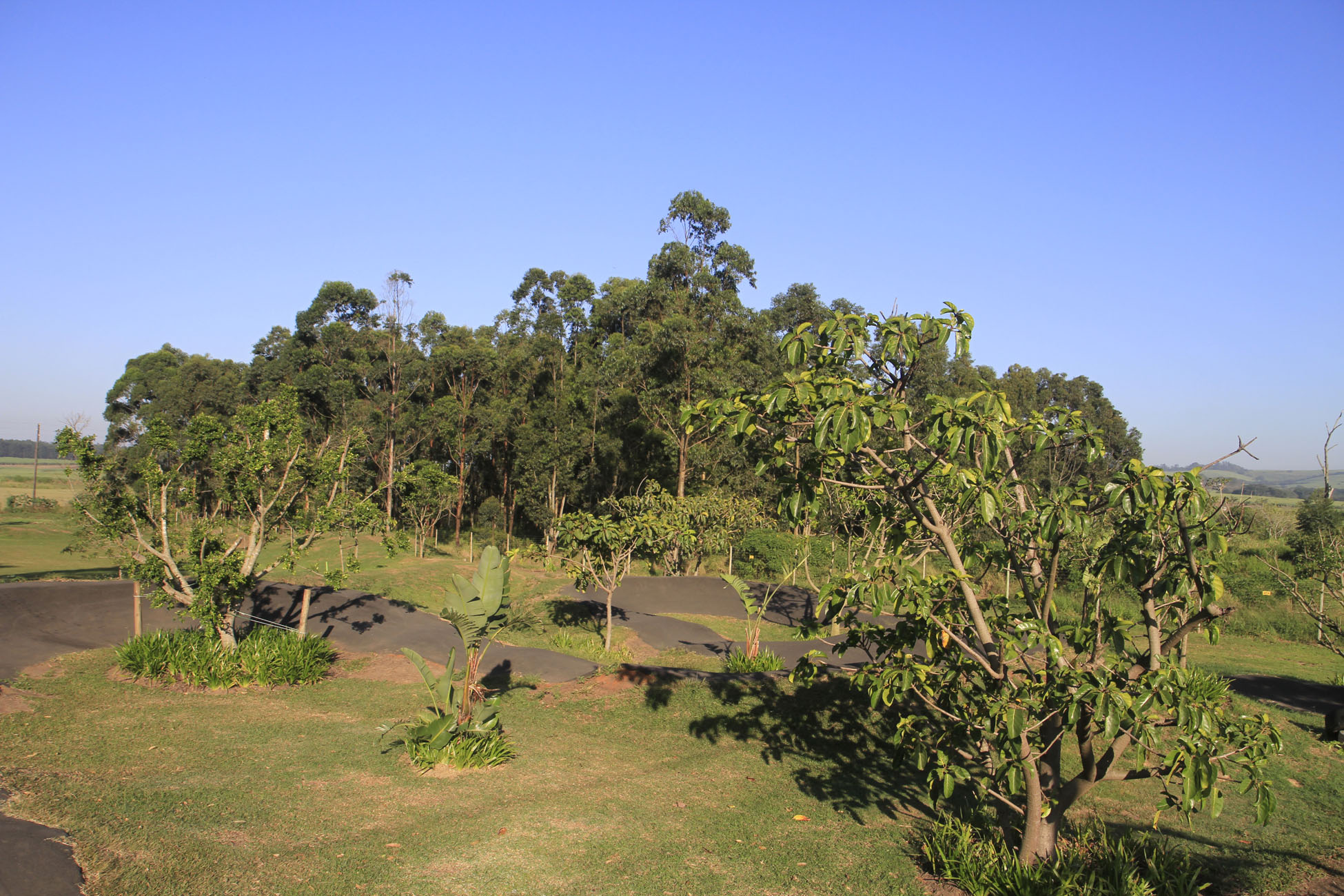 _MG_8014.jpg