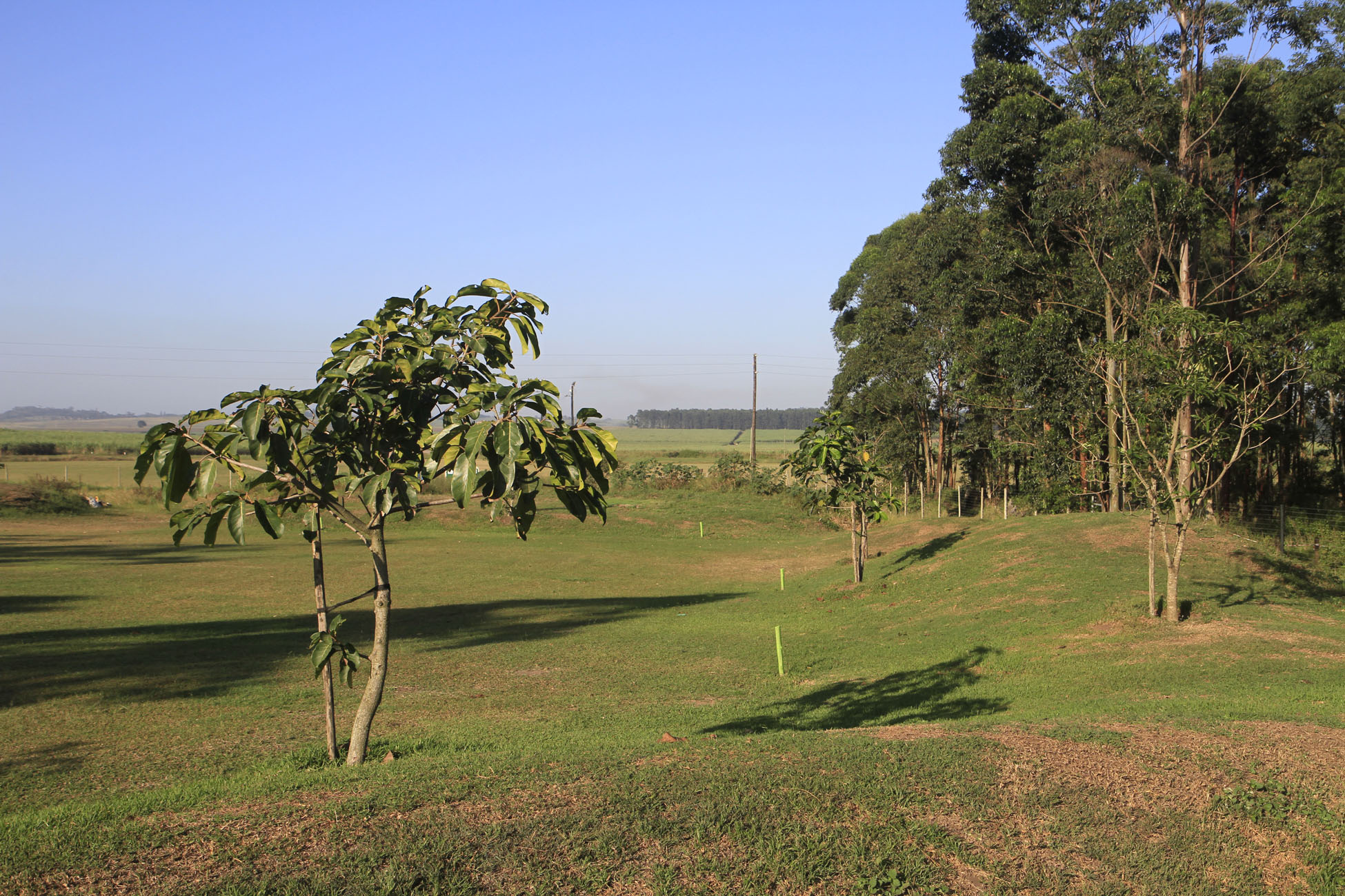 _MG_8019.jpg